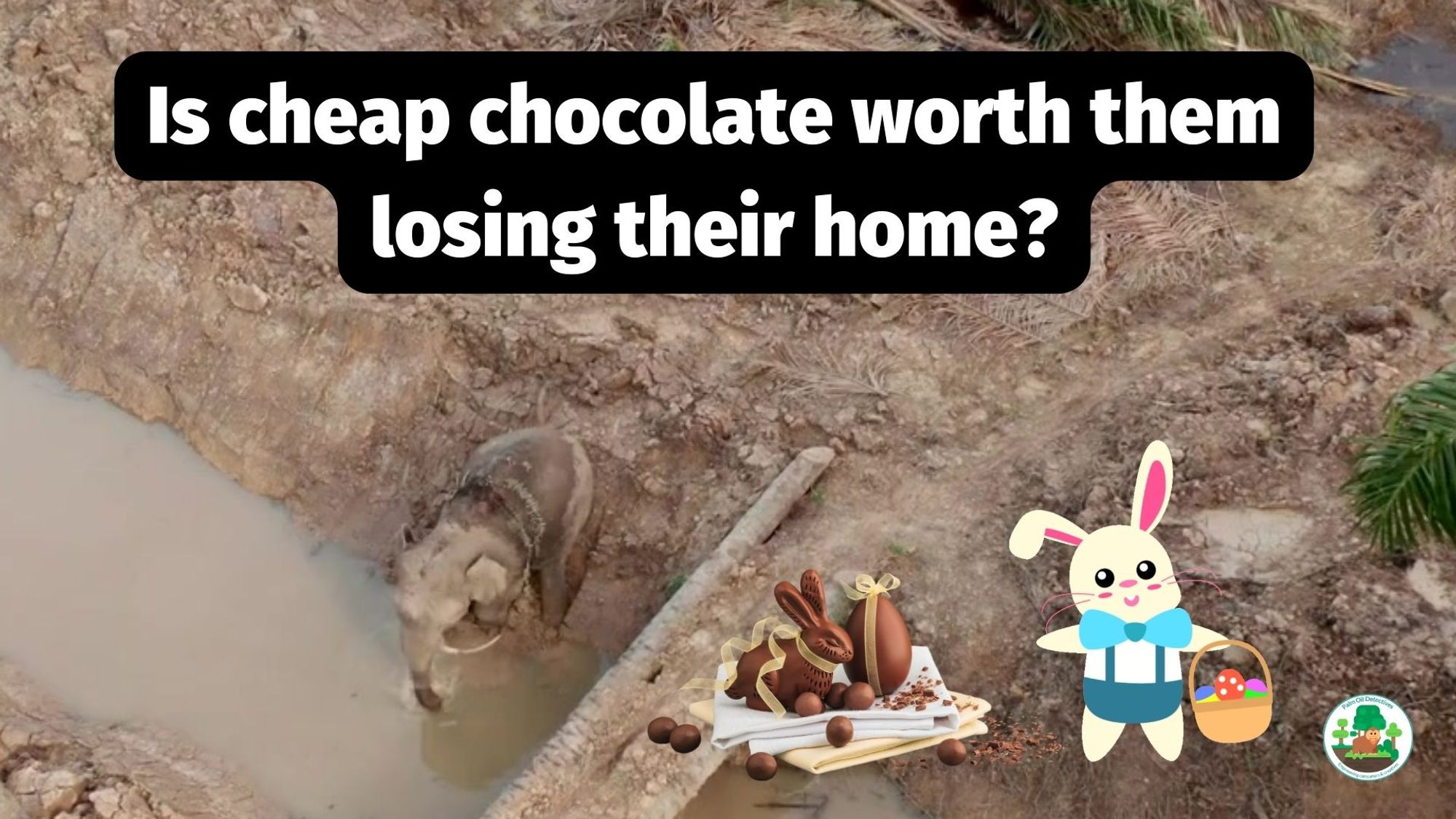 Did you know that @Nestle @CadburyUK @MDLZ @Mars @Hersheys are destroying rainforest for #palmoil and #cocoa? I DEMAND they go #palmoilfree this #Easter! Learn how to #Boycottpalmoil #Boycott4Wildlife! Visit: https://wp.me/pcFhgU-3Ly @palmoildetectives