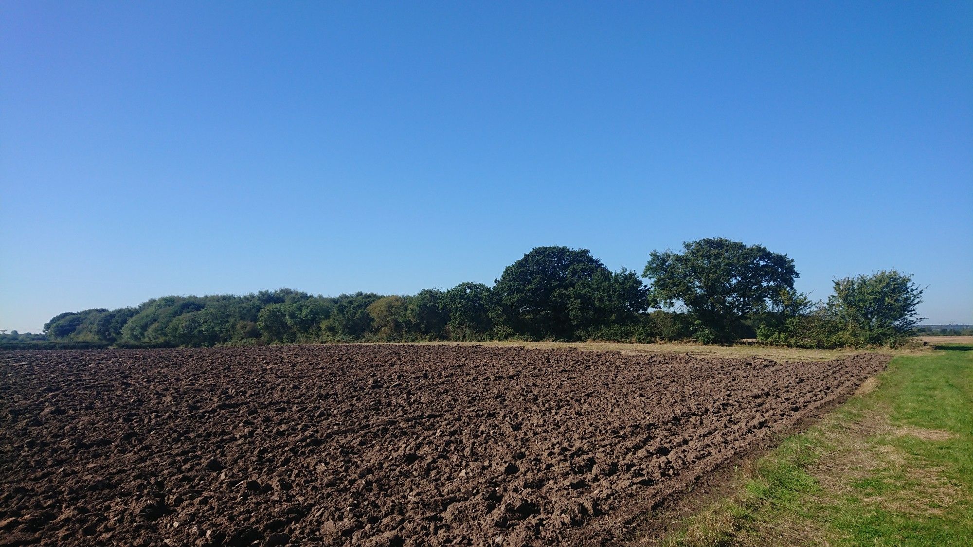 Ploughed soil, tree line behind, blue sky above.