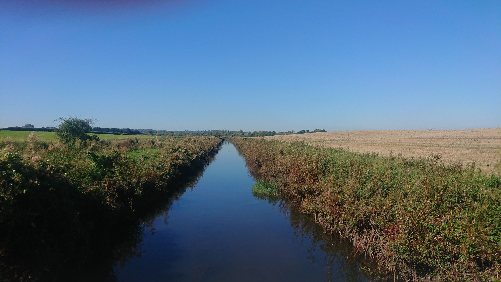 Blue sky, green field & stubble field with a brook bisecting them.