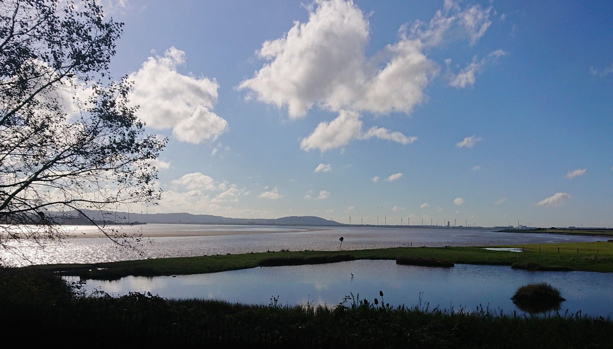 A pool surrounded by vegetation with a little egret barely discernible. The Mersey behind, and distant hills. Blue sky and fluffy white clouds.