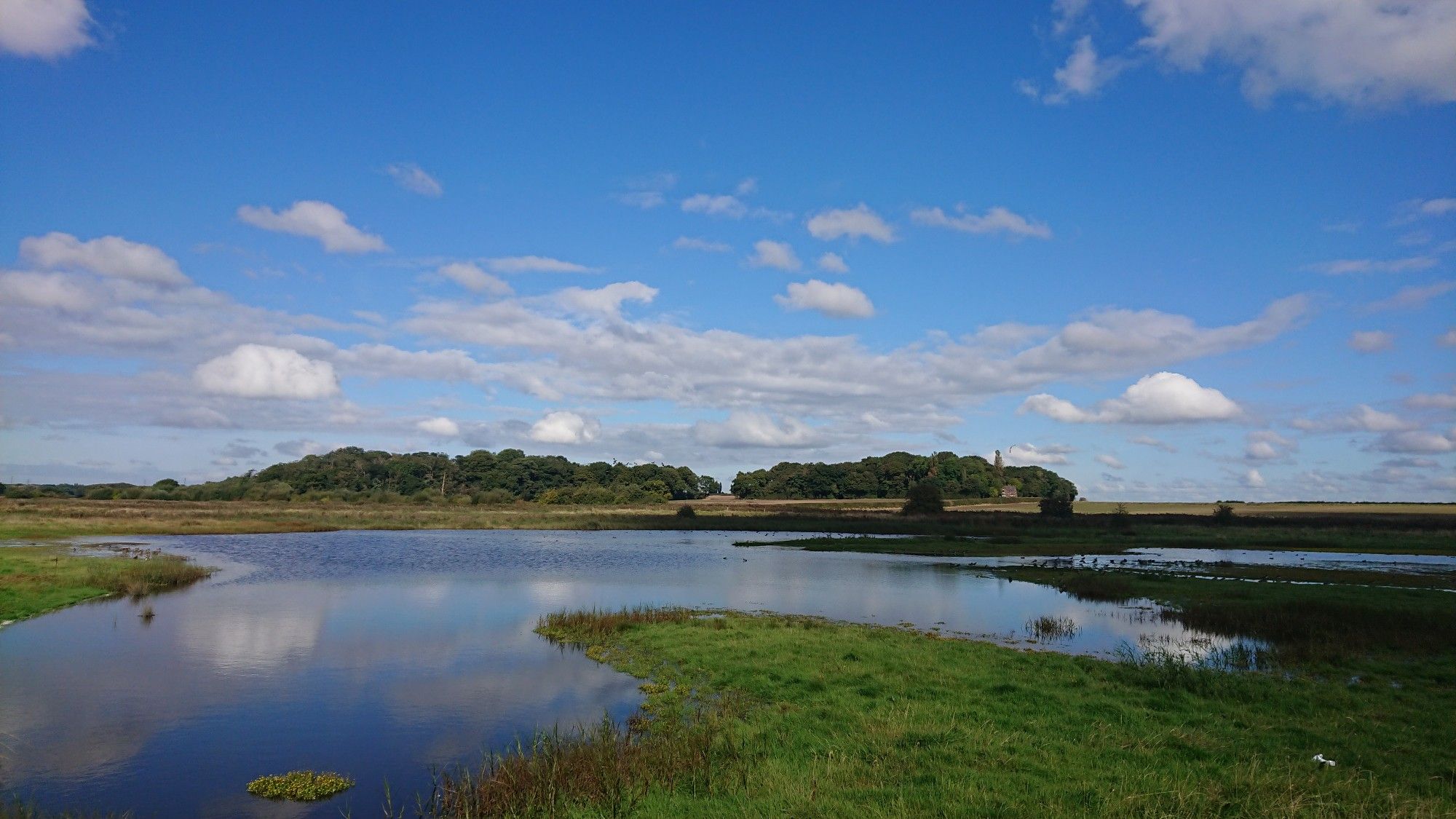 A pool of water surrounded by vegetation under a blue sky with white clouds. Distant woodland.