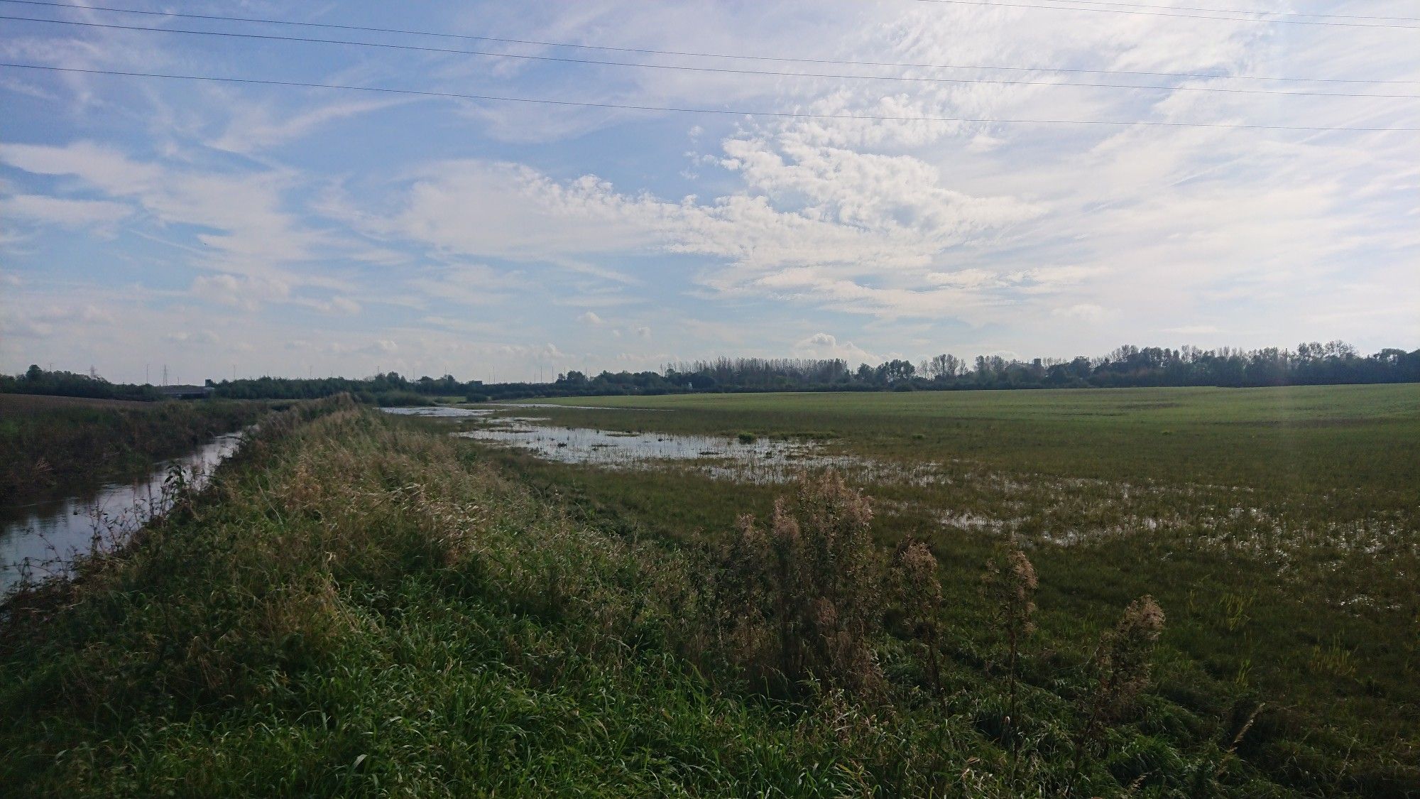 Green fields next to a brook. One is flooded. Blue sky streaked with white clouds.