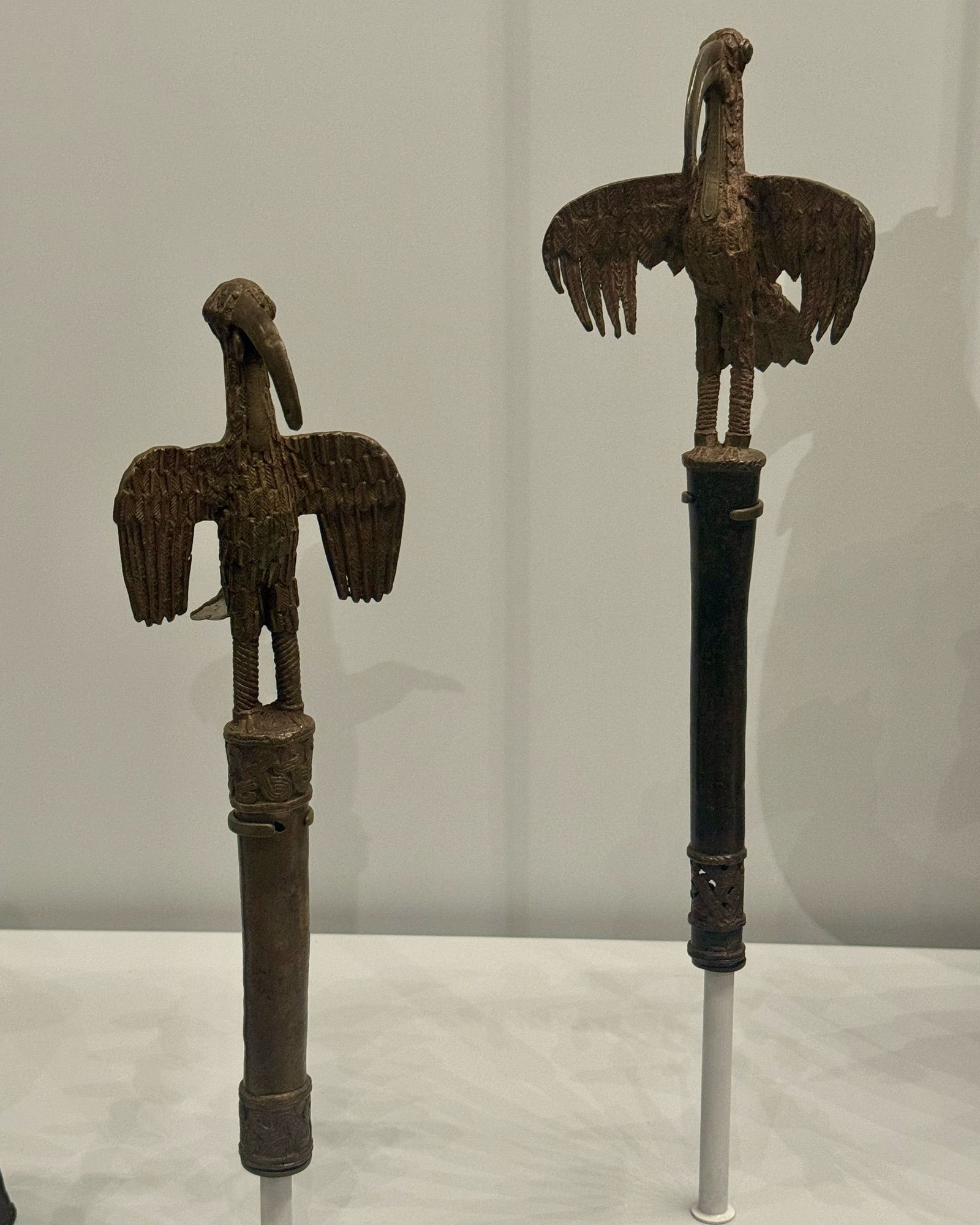 photo of the two bird of prophecy batons mounted on display side by side at museum