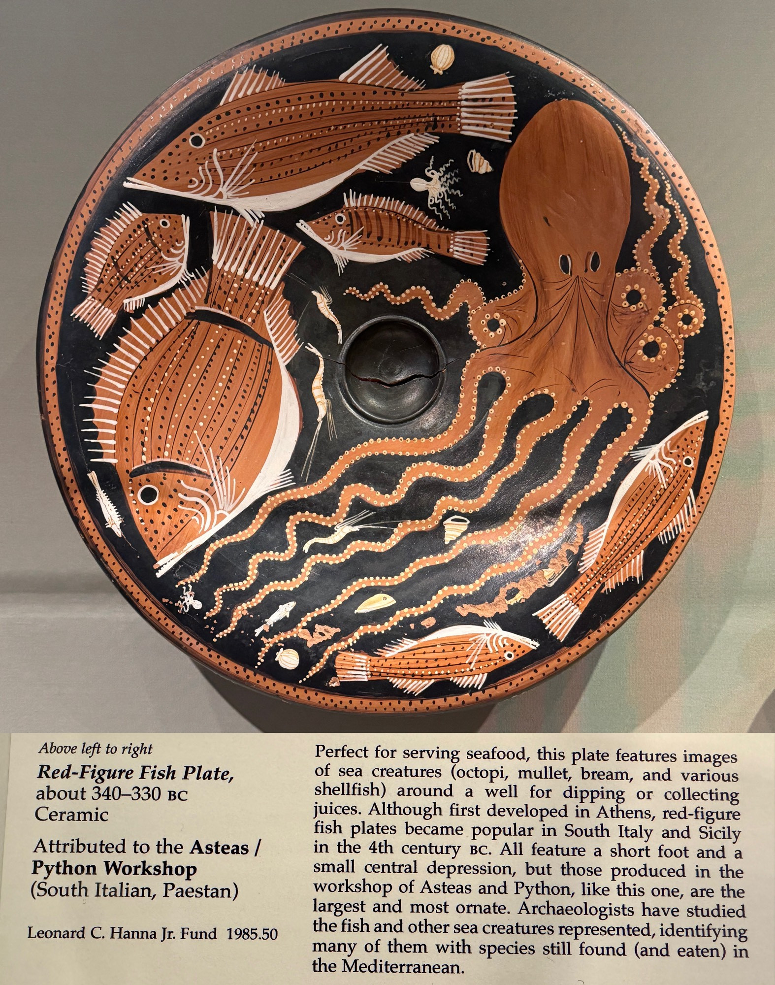 photo of the fish plate and its label on display at museum

“Perfect for serving seafood, this plate features images of sea creatures (octopi, mullet, bream, and various shellfish) around a well for dipping or collecting juices. Although first developed in Athens, red-figure fish plates became popular in South Italy and Sicily in the 4th century BC. All feature a short foot and a small central depression, but those produced in the workshop of Asteas and Python, like this one, are the largest and most ornate. Archaeologists have studied the fish and other sea creatures represented, identifying many of them with species still found (and eaten) in the Mediterranean.”