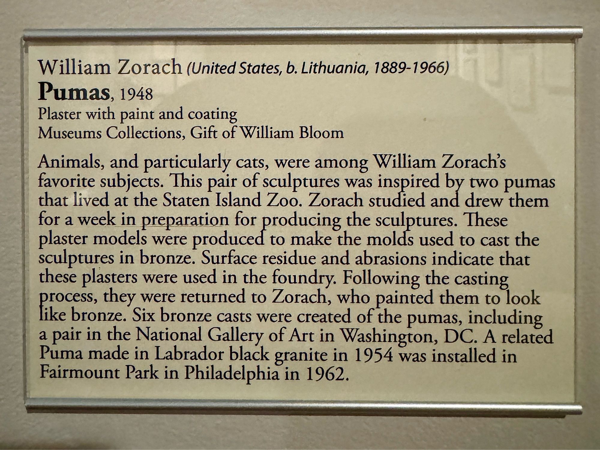 photo of gallery label
text:
“William Zorach (United States, b. Lithuania, 1889-1966)
Pumas, 1948
Plaster with paint and coating
Museums Collections, Gift of William Bloom
Animals, and particularly cats, were among William Zorach's favorite subjects. This pair of sculptures was inspired by two pumas that lived at the Staten Island Zoo. Zorach studied and drew them for a week in preparation for producing the sculptures. These plaster models were produced to make the molds used to cast the sculptures in bronze. Surface residue and abrasions indicate that these plasters were used in the foundry. Following the casting process, they were returned to Zorach, who painted them to look like bronze. Six bronze casts were created of the pumas, including a pair in the National Gallery of Art in Washington, DC. A related Puma made in Labrador black granite in 1954 was installed in Fairmount Park in Philadelphia in 1962.”