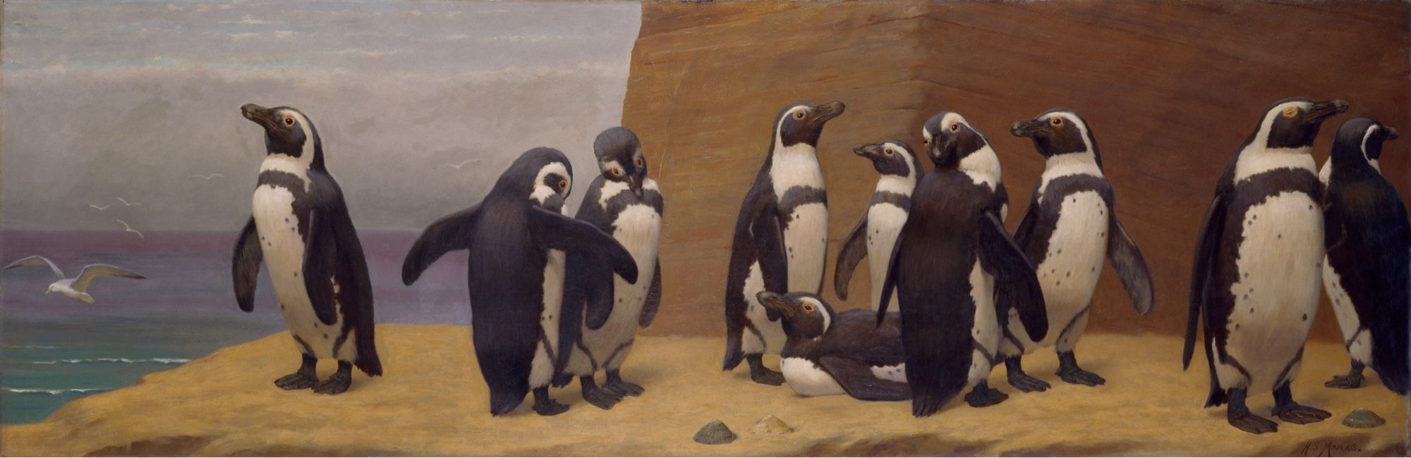 “This popular painting shows a group of Humboldt penguins clustering and preening on a rock. The painting title refers to the birds’ markings, which resemble the long black and white habits of Roman Catholic Dominican monks.”