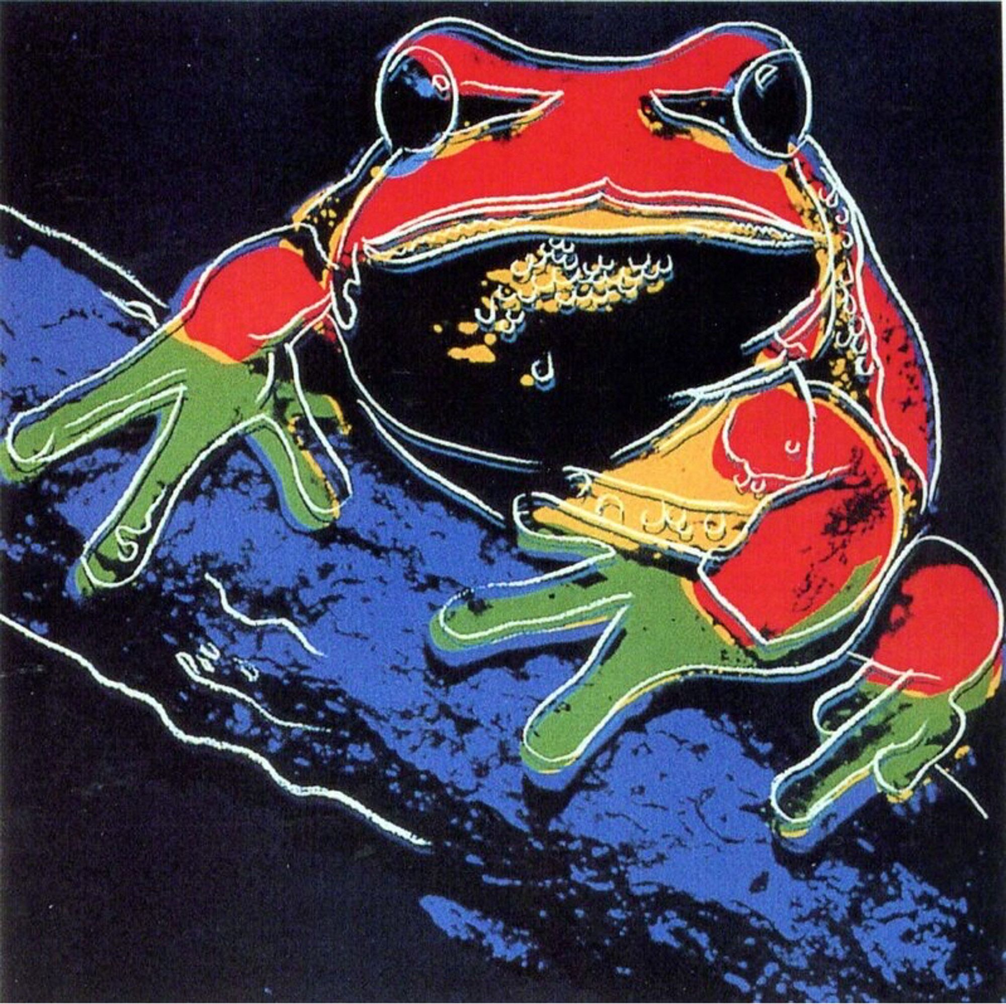 square screen print of a frog in red/yellow/green/blue/black, on blue branch and black background