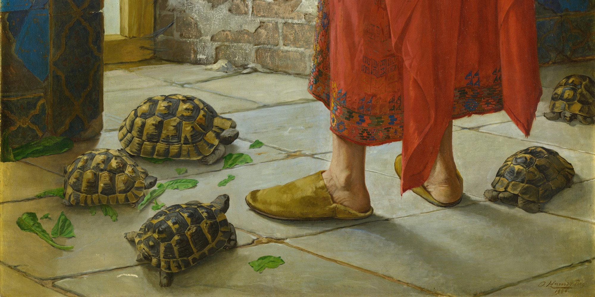 zoomed in detail of the tortoises at the man's feet