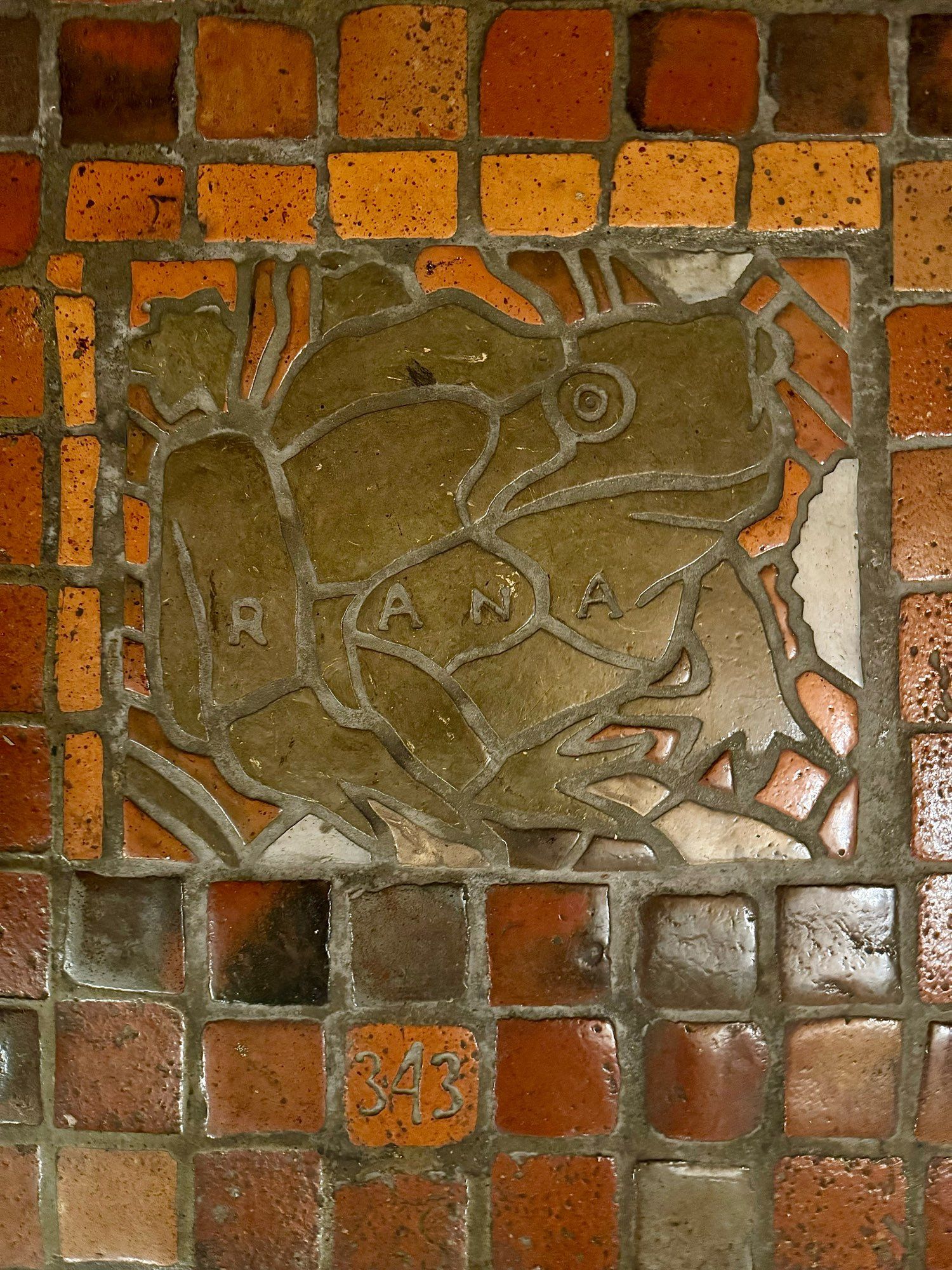 photo of square tile mosaic, frog design labeled “RANA” and numbered “343” on red tile mosaic floor