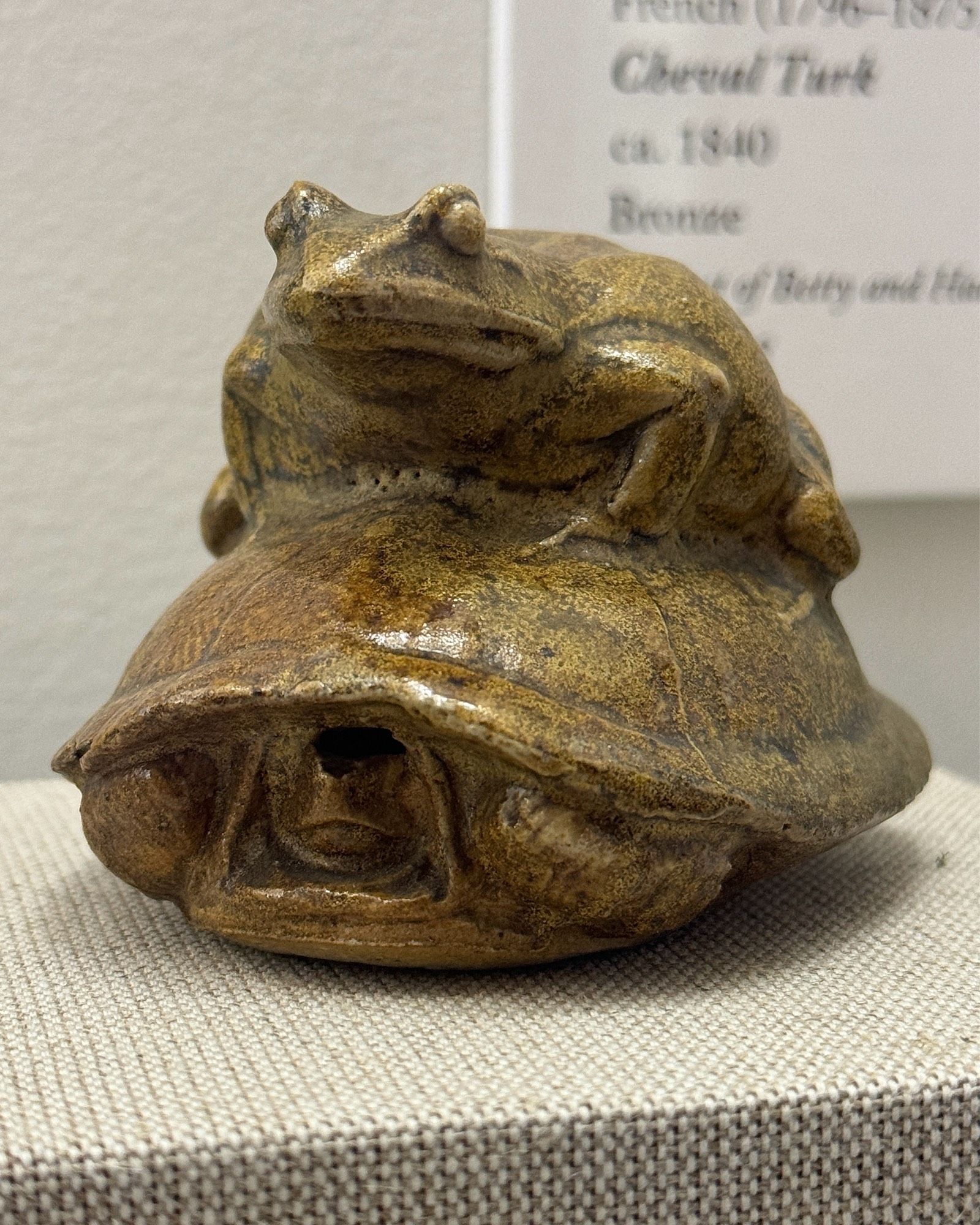 photo of the sculpture on display at museum, front view; frog sitting on top of a tortoise