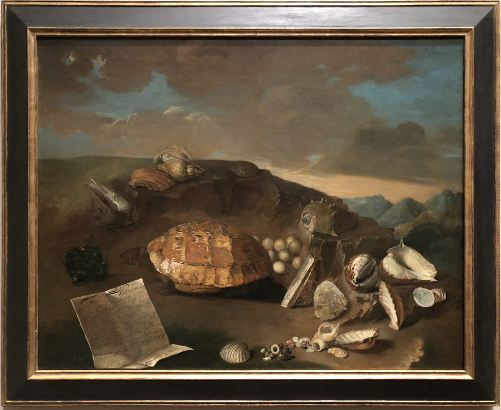 Still Life With a Tortoise, 1743
possibly by Thomas Black (English, 1715-1777)
oil on canvas
Philadelphia Museum of Art
(photographed on display at museum in frame)