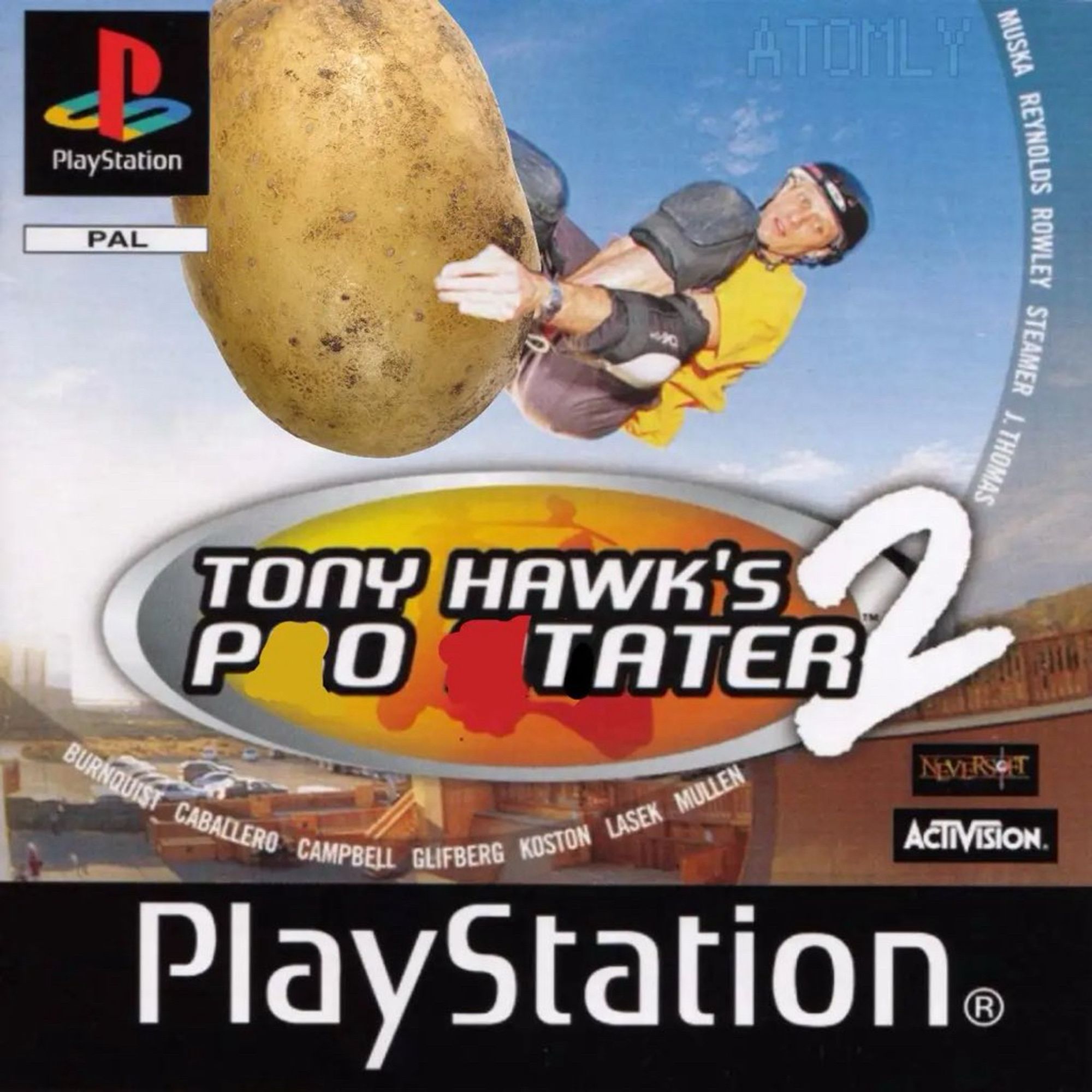 tony hawk's po tater 2