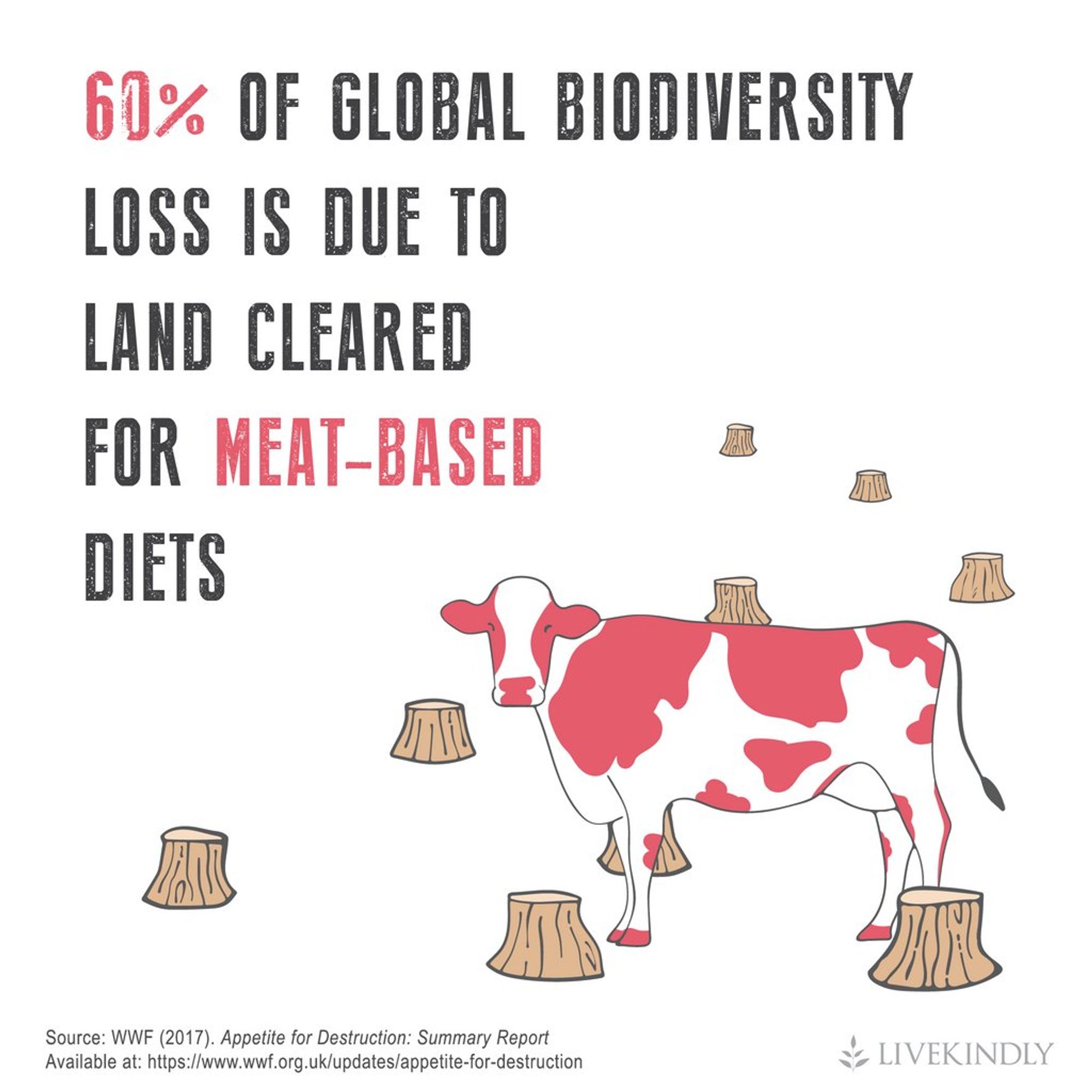 This image features text that reads: **"60% of global biodiversity loss is due to land cleared for meat-based diets."** The illustration shows a cow standing among several tree stumps, symbolising deforestation caused by land cleared for livestock farming. The image highlights the environmental impact of meat consumption, particularly how it contributes to habitat destruction and loss of biodiversity. The source of the information is the WWF (World Wide Fund for Nature), and the image is credited to Live Kindly.