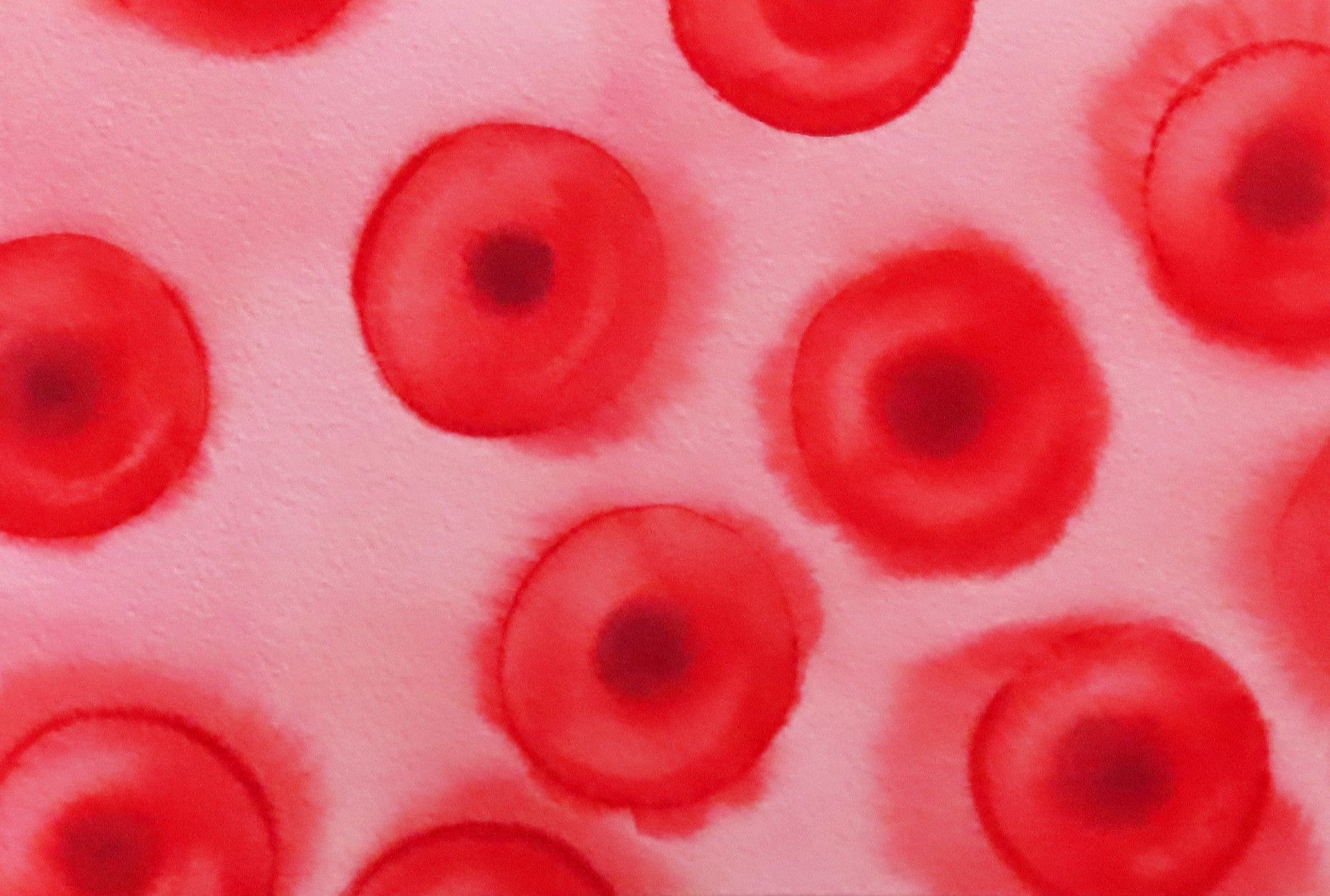 watercolor of red blood cells