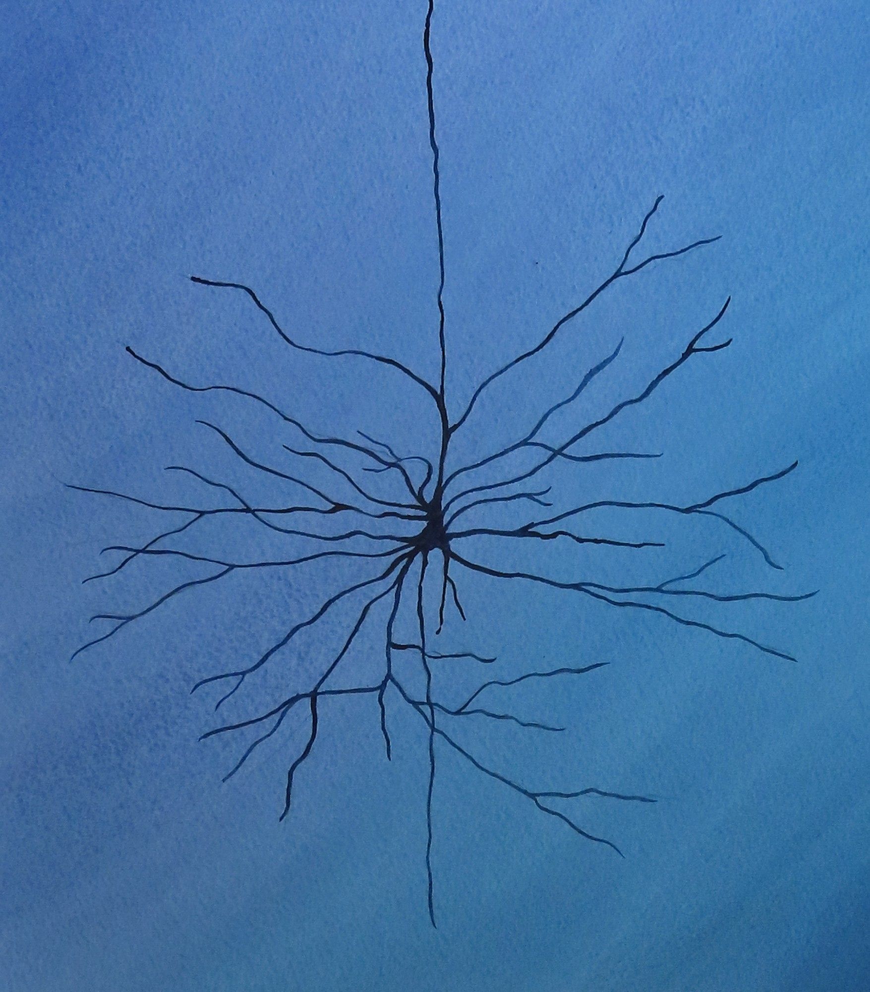 Watercolor painting of pyramidal neuron 