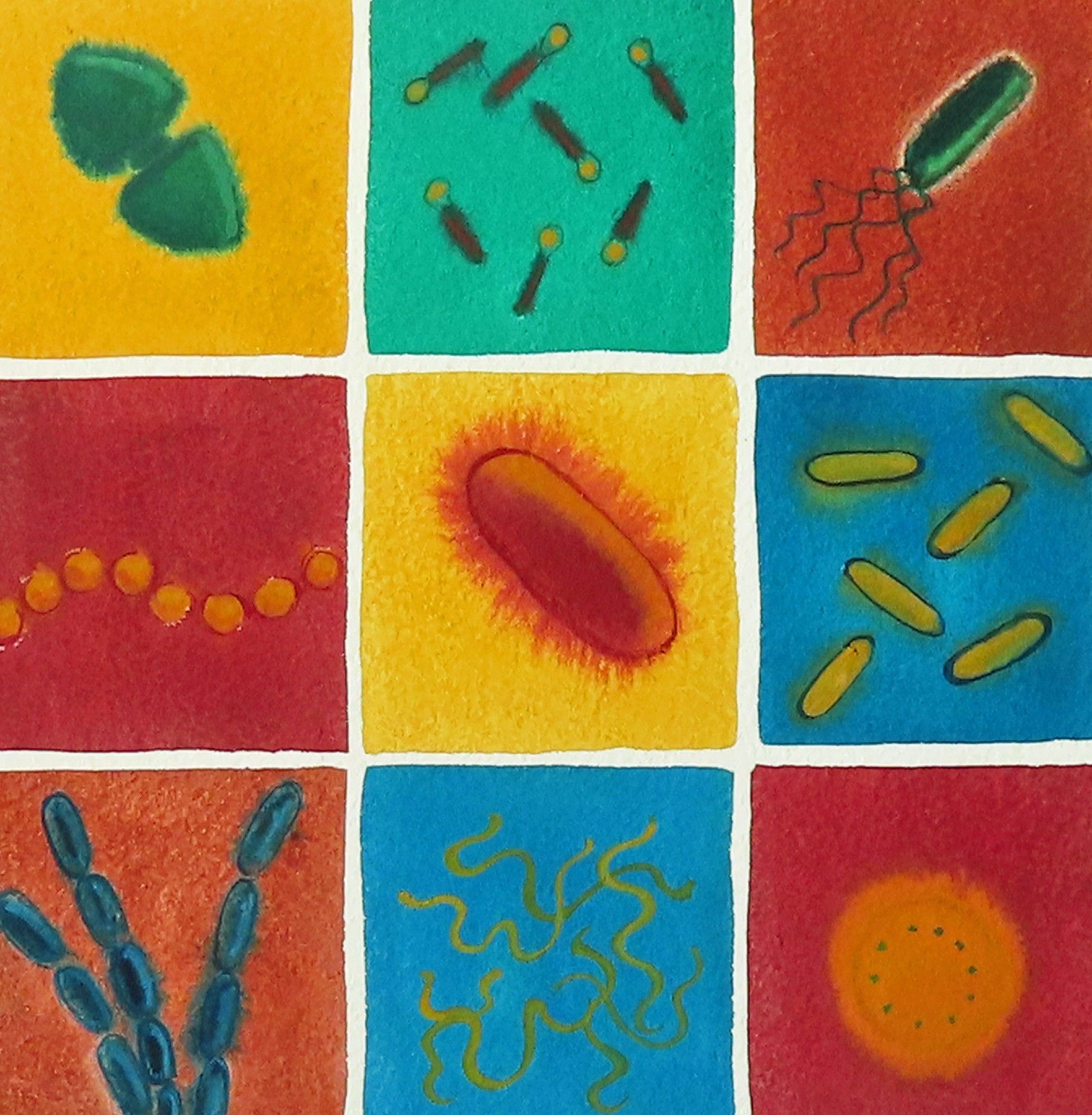 watercolor grid of colorful bacteria