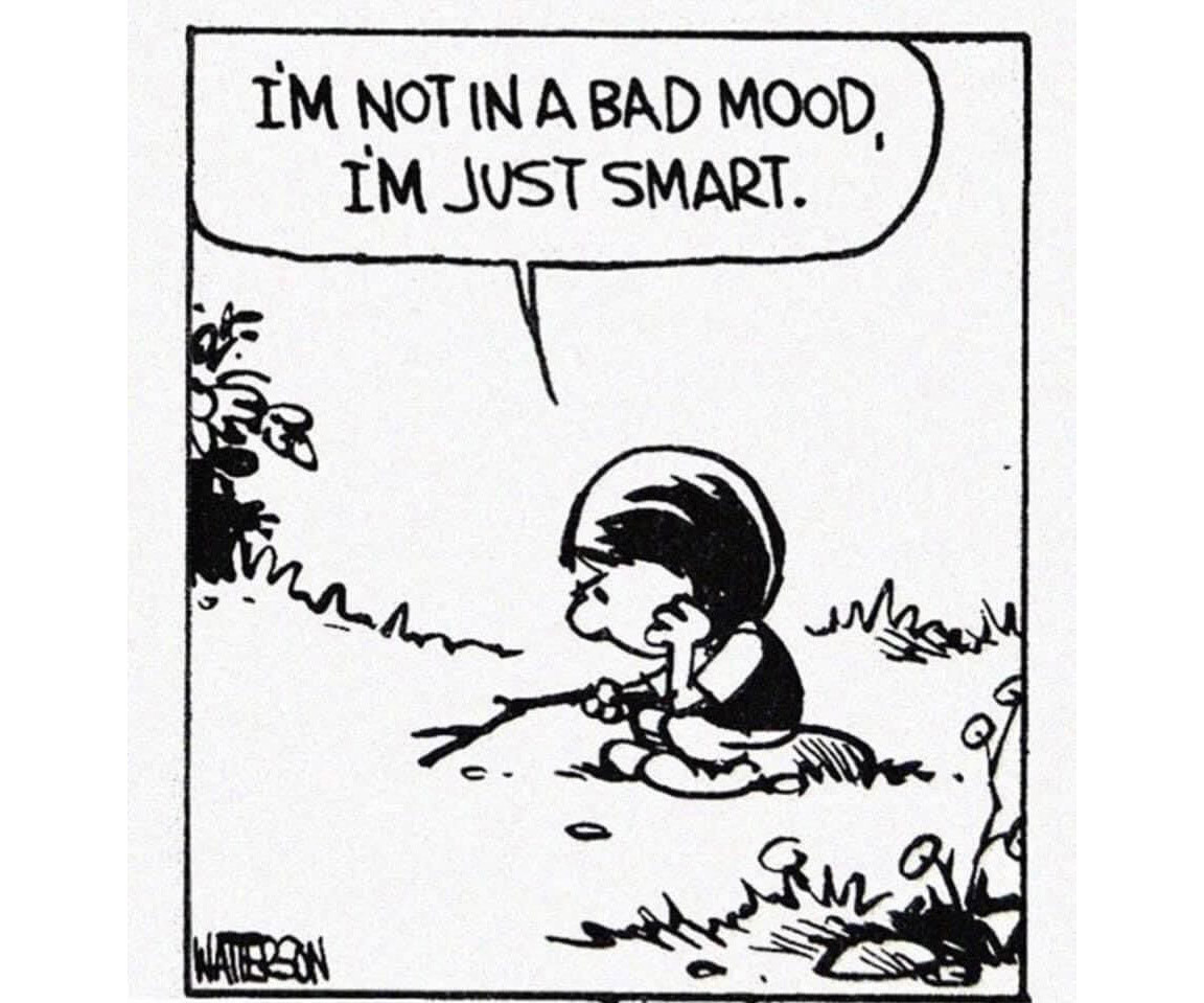 cartoon by Bill Watterson of a girl sitting on a rock looking annoyed. "I'm not in a bad mood, I'm just smart"