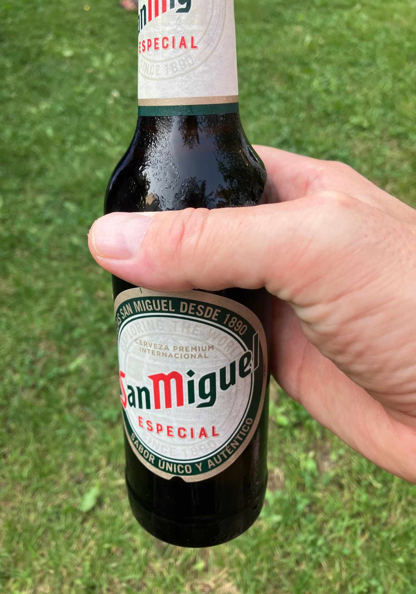 Ich halte eine Flasche San Miguel in meiner Hand. Im Bildhintergrund eine Wiese.