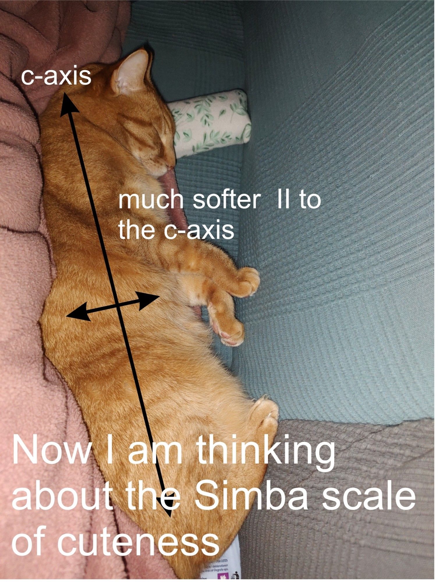 Simba is mimicking the mineral kyanite / disthene. The mineral that has different hardnesses depending on the crystallographic orientation