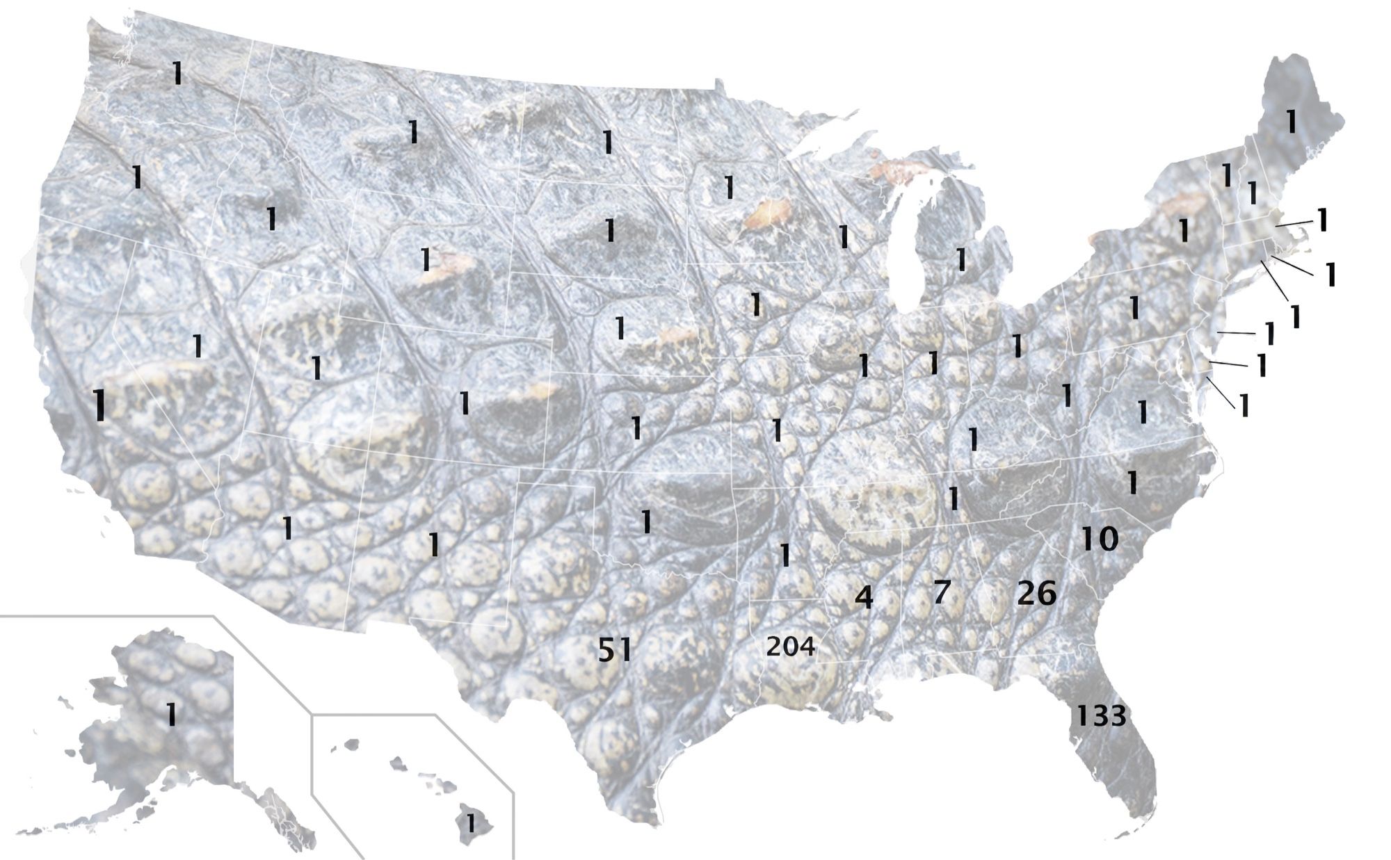 a map of the US with crocodile skin. the majority of states have 1 except fo the following:

- Texas: 51
- Louisiana: 204
- Mississippi: 4
- Alabama: 7
- Georgia: 26
- South Carolina: 10
- Florida: 133