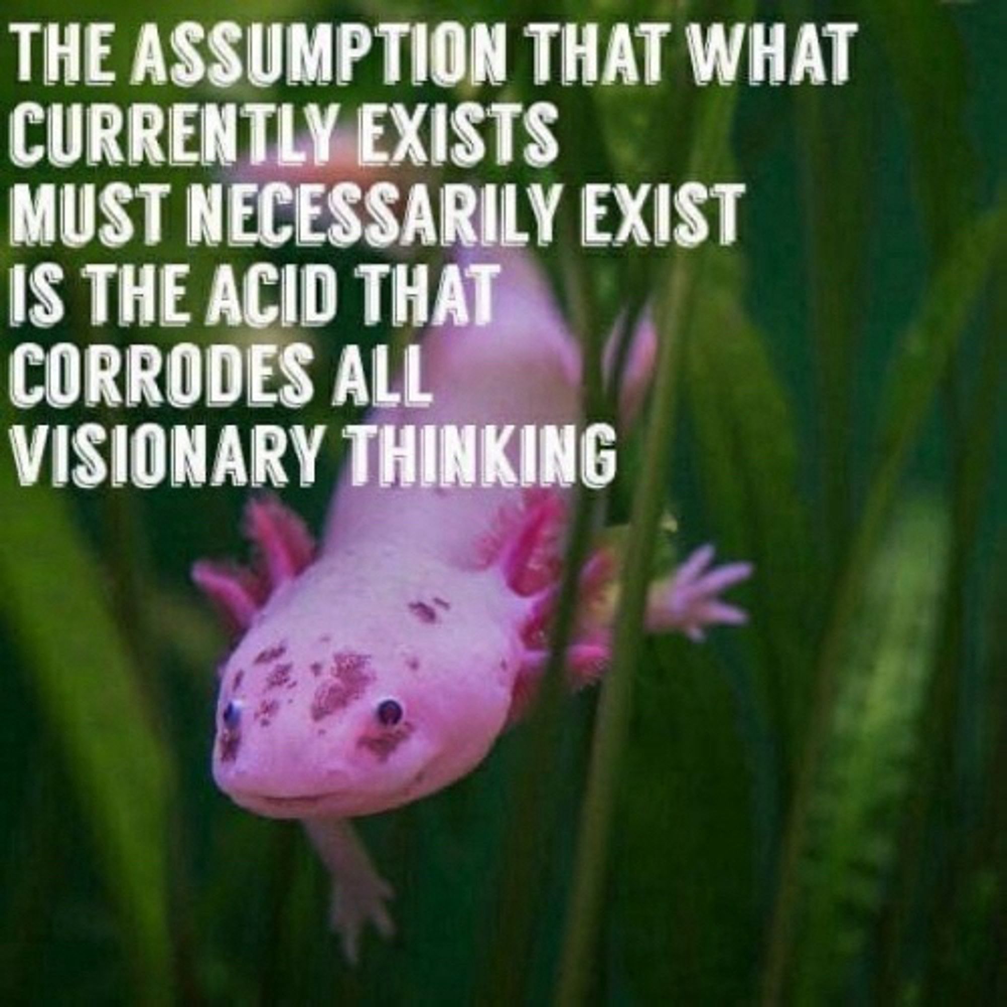 THE ASSUMPTION THAT WHAT CURRENTLY EXISTS MUST NECESSARILY EXIST
IS THE ACID THAT CORRODES ALL VISIONARY THINKING