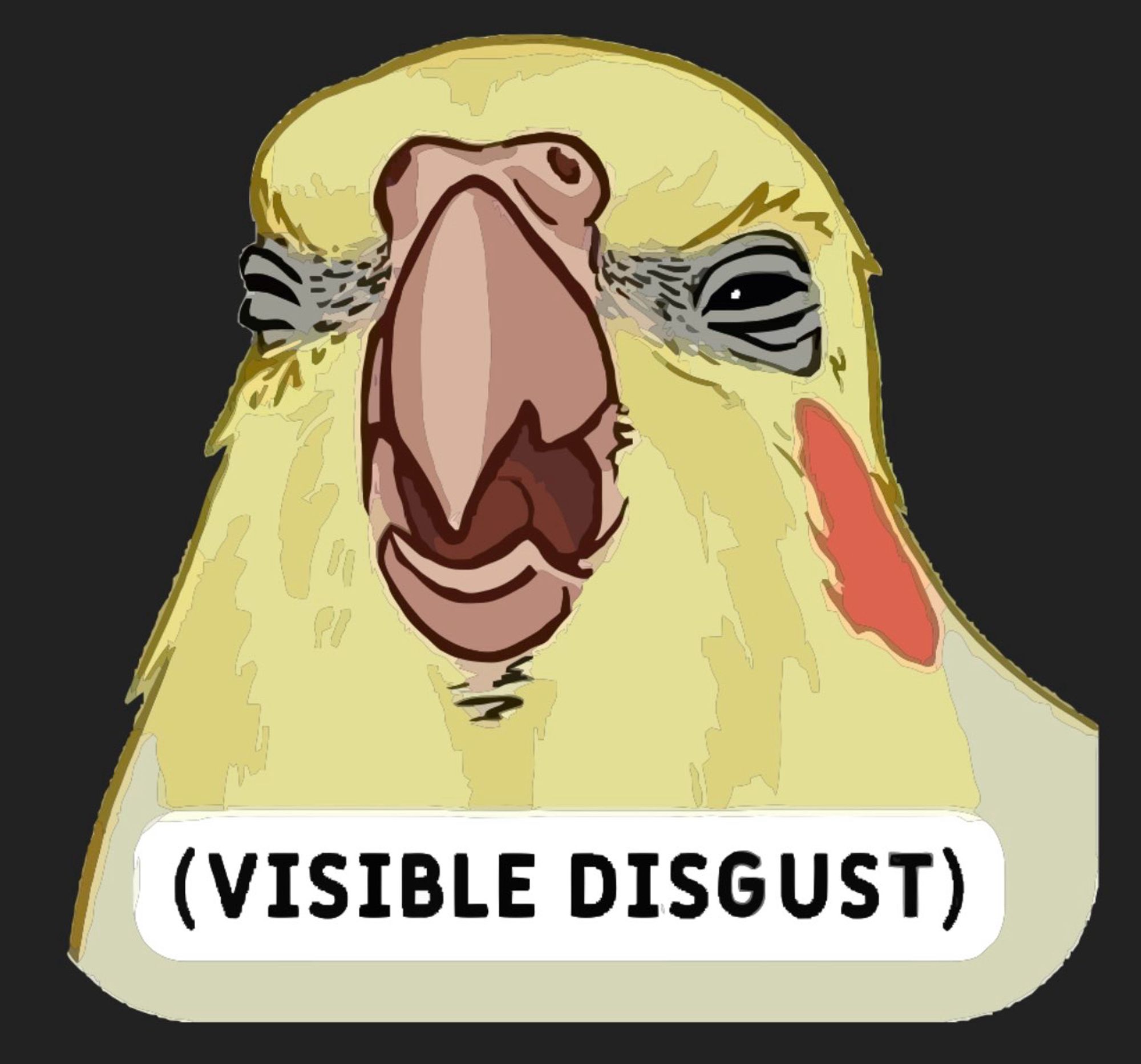 Visible disgust parakeet