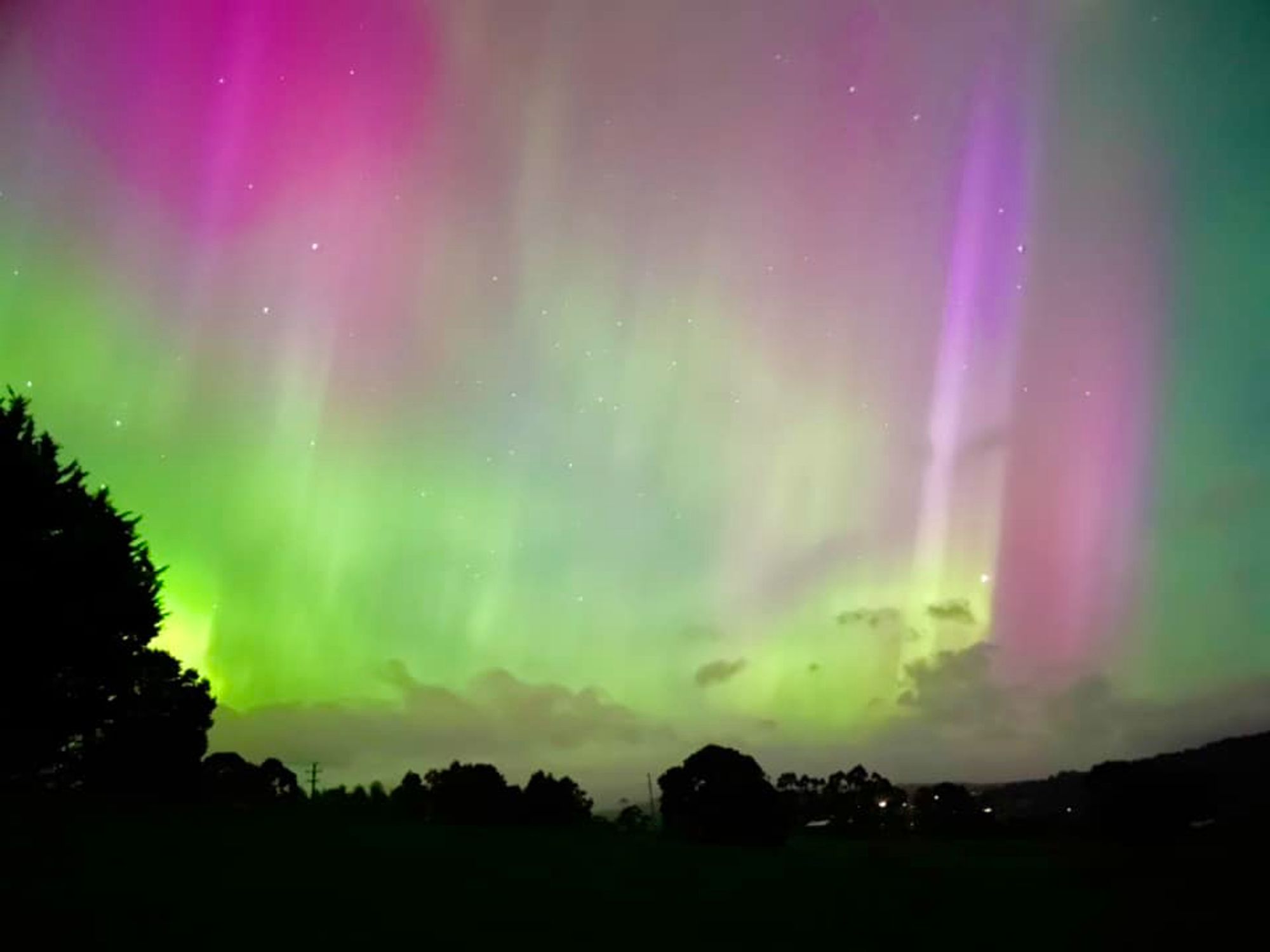 Southern aurora: pink and green beams of light above a dark horizon.