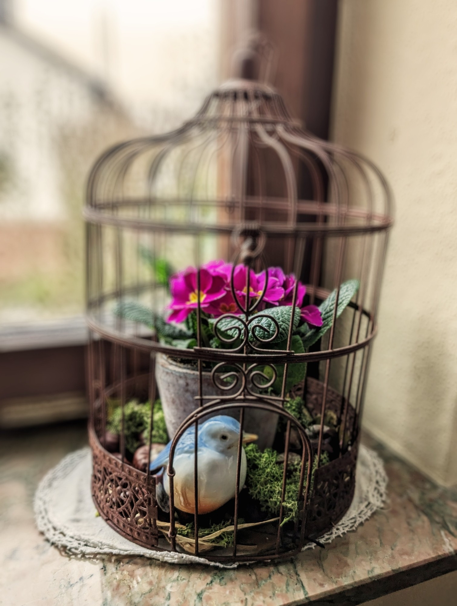 Ein kleiner, antiker Vogelkäfig in dem ein Porzellanvogel auf etwas Moos sitzt. Ein Blumentopf mit einer rosafarbenen Primel befindet sich ebenfalls im Käfig.