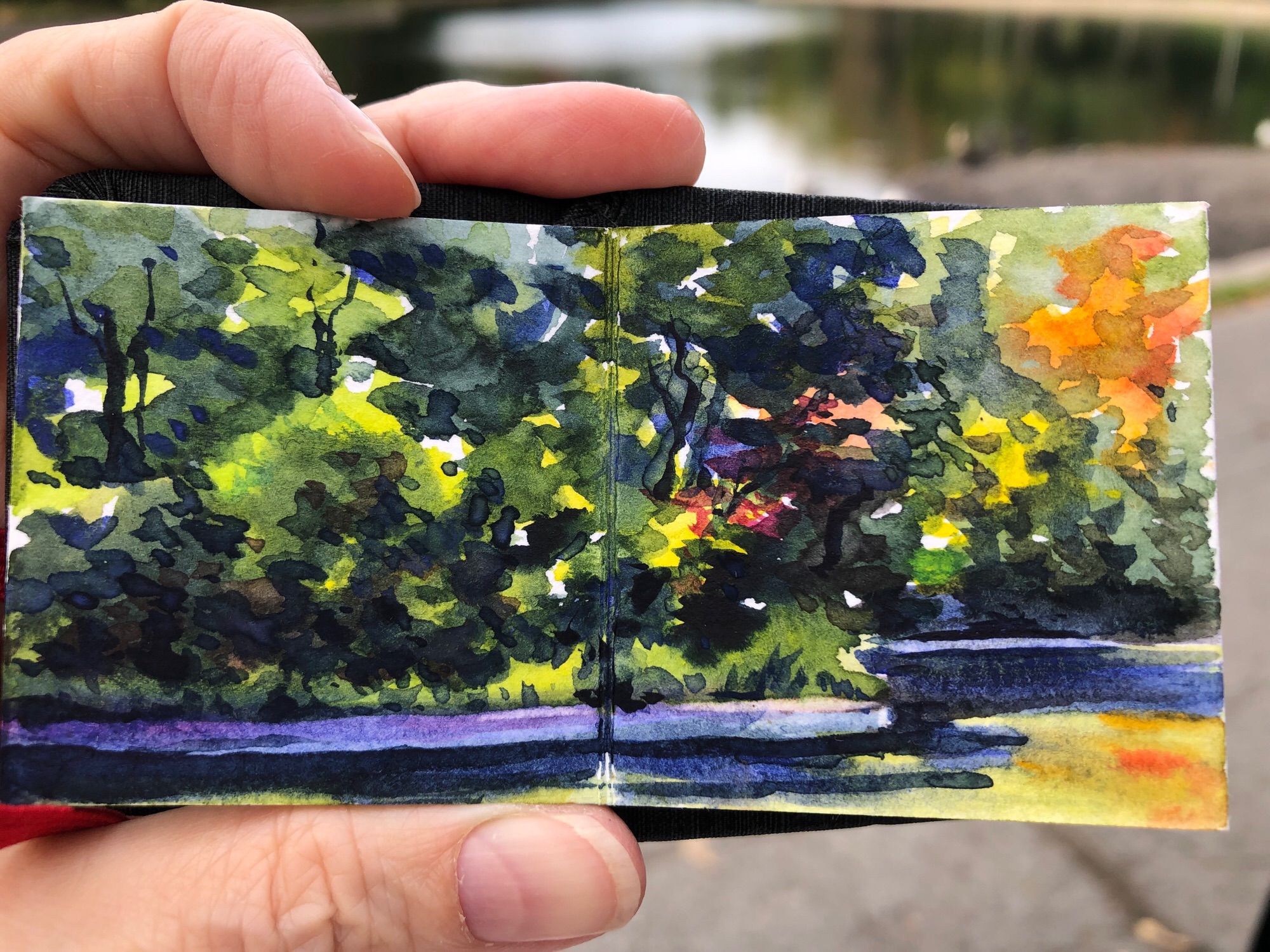 This is a close-up of a tiny, watercolour painting in my sketchbook. I’m holding it in my left hand close to the camera. The painting is of the far side of Parc La Fontaine pond. The edge of the pond is curving in an S shape, creating a multi dimensional effect. The trees are turning colours of autumn, and that is reflected in the pond.