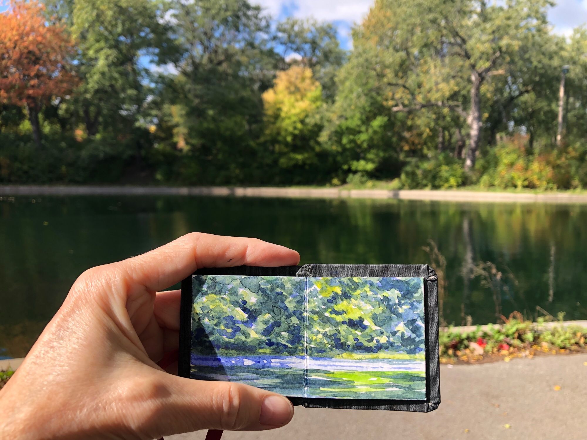 I’m holding up my tiny sketchbook in my left hand in front of the view that I have just painted. The view is of the pond at Parc Lafontaine, here in Montreal. There’s blue sky, trees, and foliage along the edge of the pond and all is reflected in the pond. Painting shows only a small section of this.