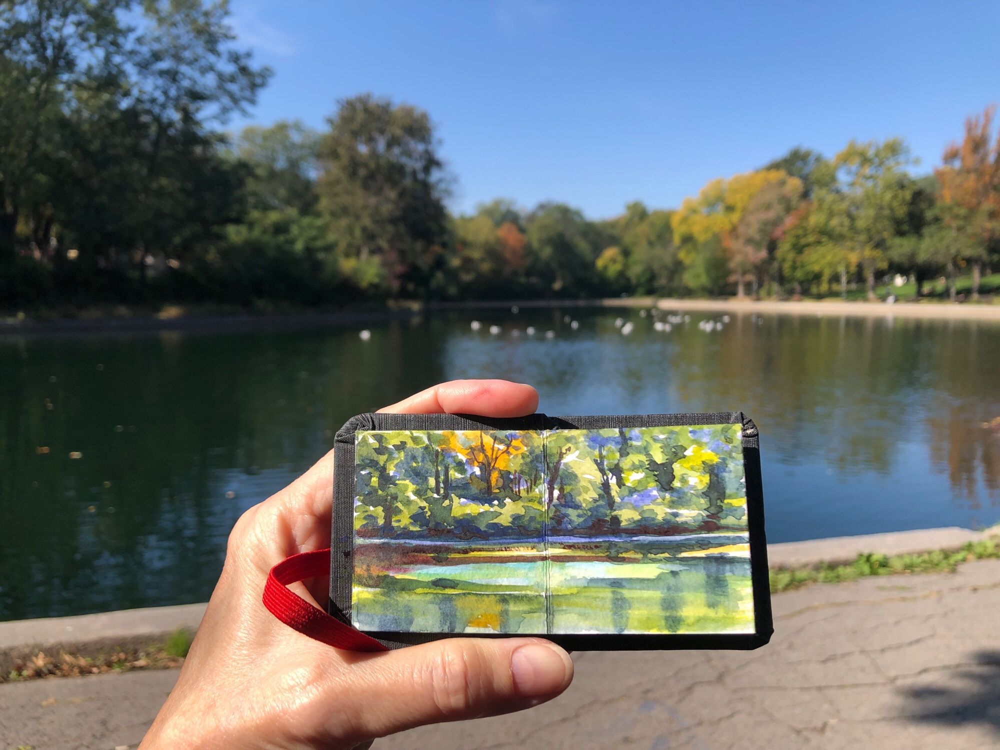 My left hand is holding up my schedule book in front of the view that I have just painted. It is a tiny sketchbook, only 2” x 4”, open. I have used two pages for this painting. Behind the sketchbook is a view of Parc Lafontaine, in Montreal, with the pond and everything reflecting in it from the opposite edge. This includes sky, trees, and foliage. It is autumn, and some of the trees have warmer colours in them.