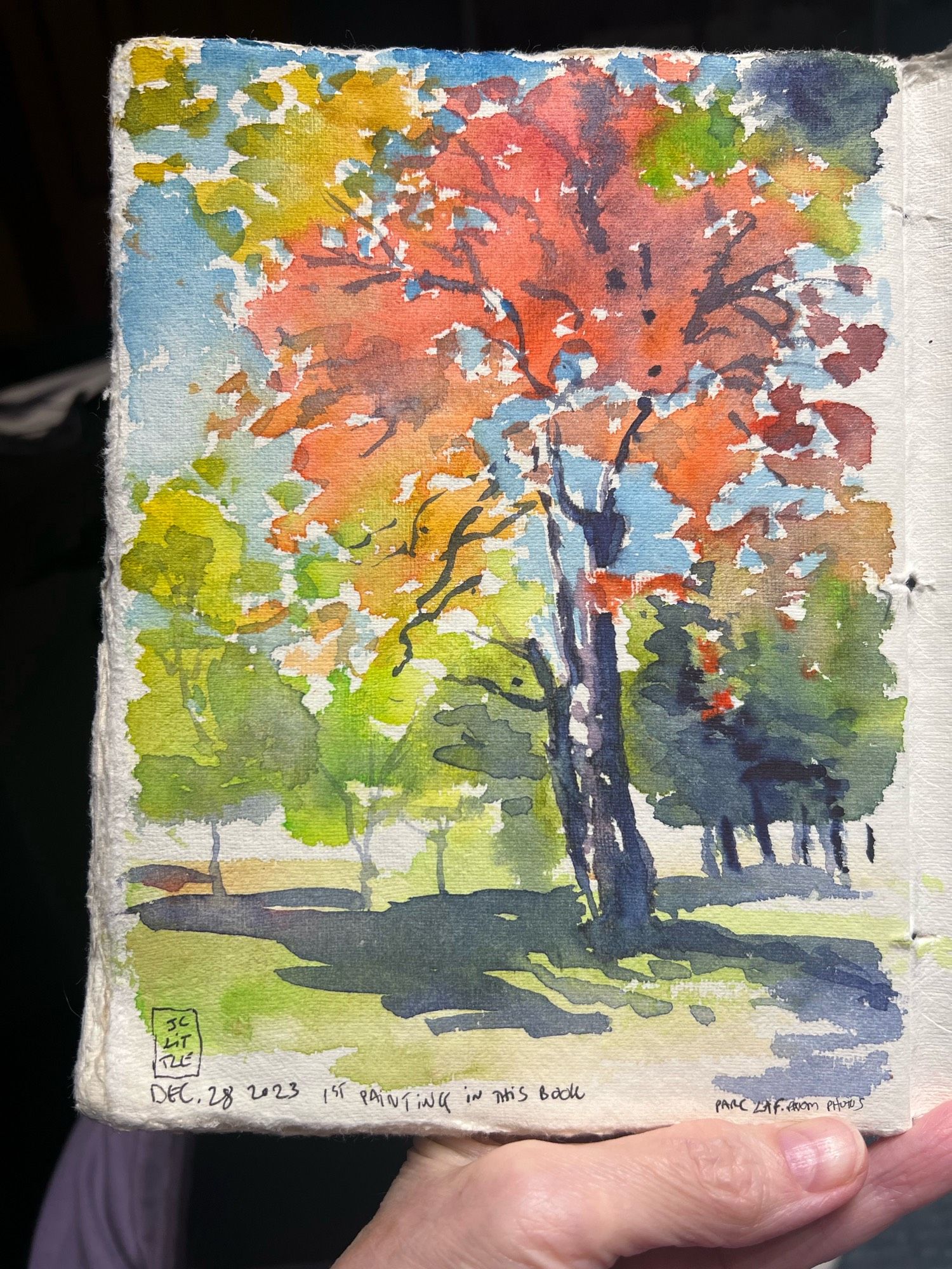 Watercolour painting of a view of Parc Lafontaine here in Montreal. The scene has some trees in the distance, and one big tree in the foreground which has warm autumn colouring in the leaves. There are shadows on the ground cast by the different trees. I hope you can feel the sunshine coming through from the sky.