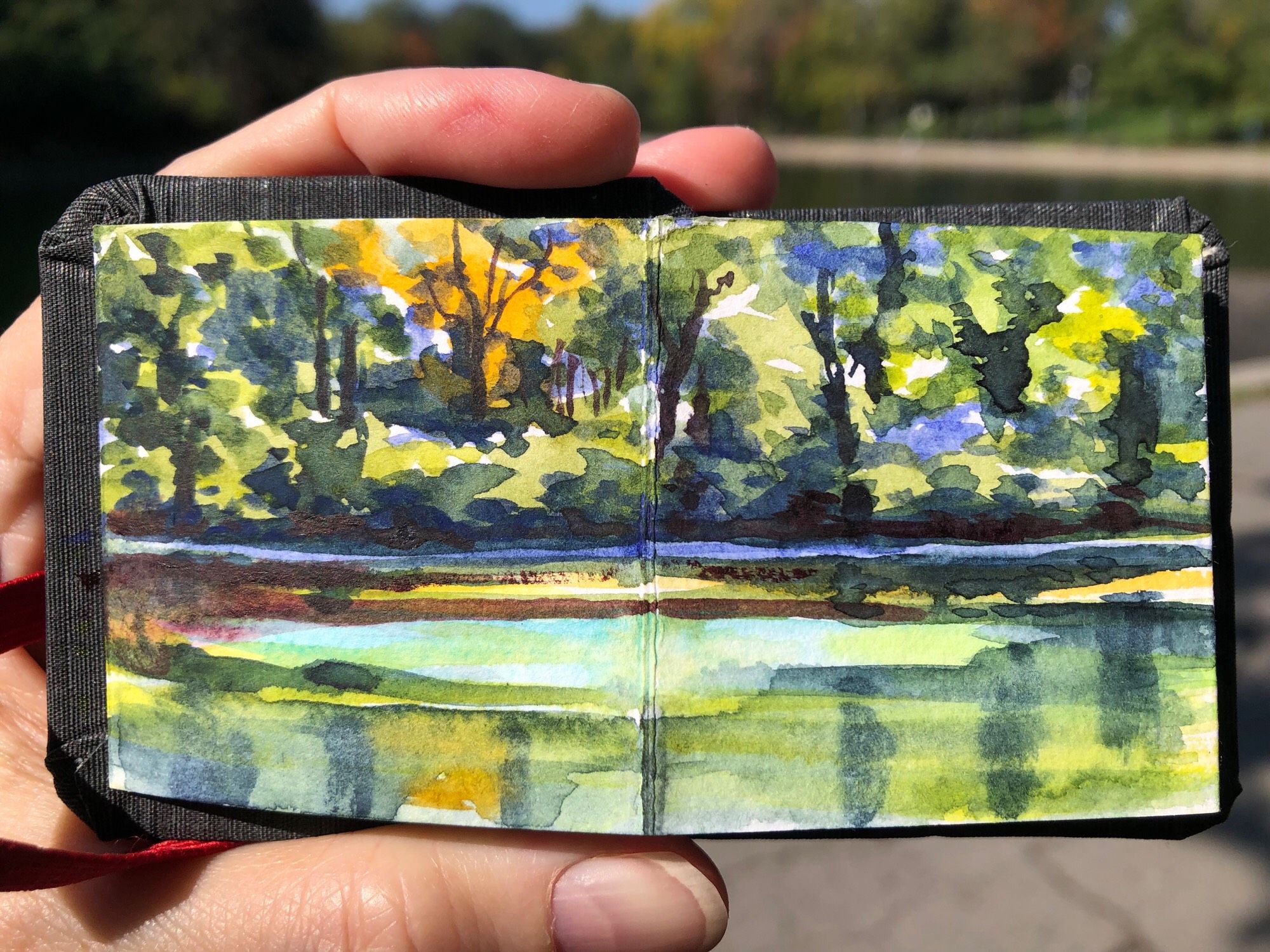 Here is a close-up view of my tiny sketchbook. It is open to a page with a watercolour painting of the pond at Parc Lafontaine in Montreal. Across the pond on the other side, along the edge, is foliage and trees, some of which are turning warmer colours with the autumn weather. Everything is reflecting into the pond, along with a patch of blue sky. Sometimes the wind blows along the surface of the pond, causing only a portion of the pond to reflect, what is directly above it, rather than what is facing it. That is why we see some blue sky on the surface of the pond.