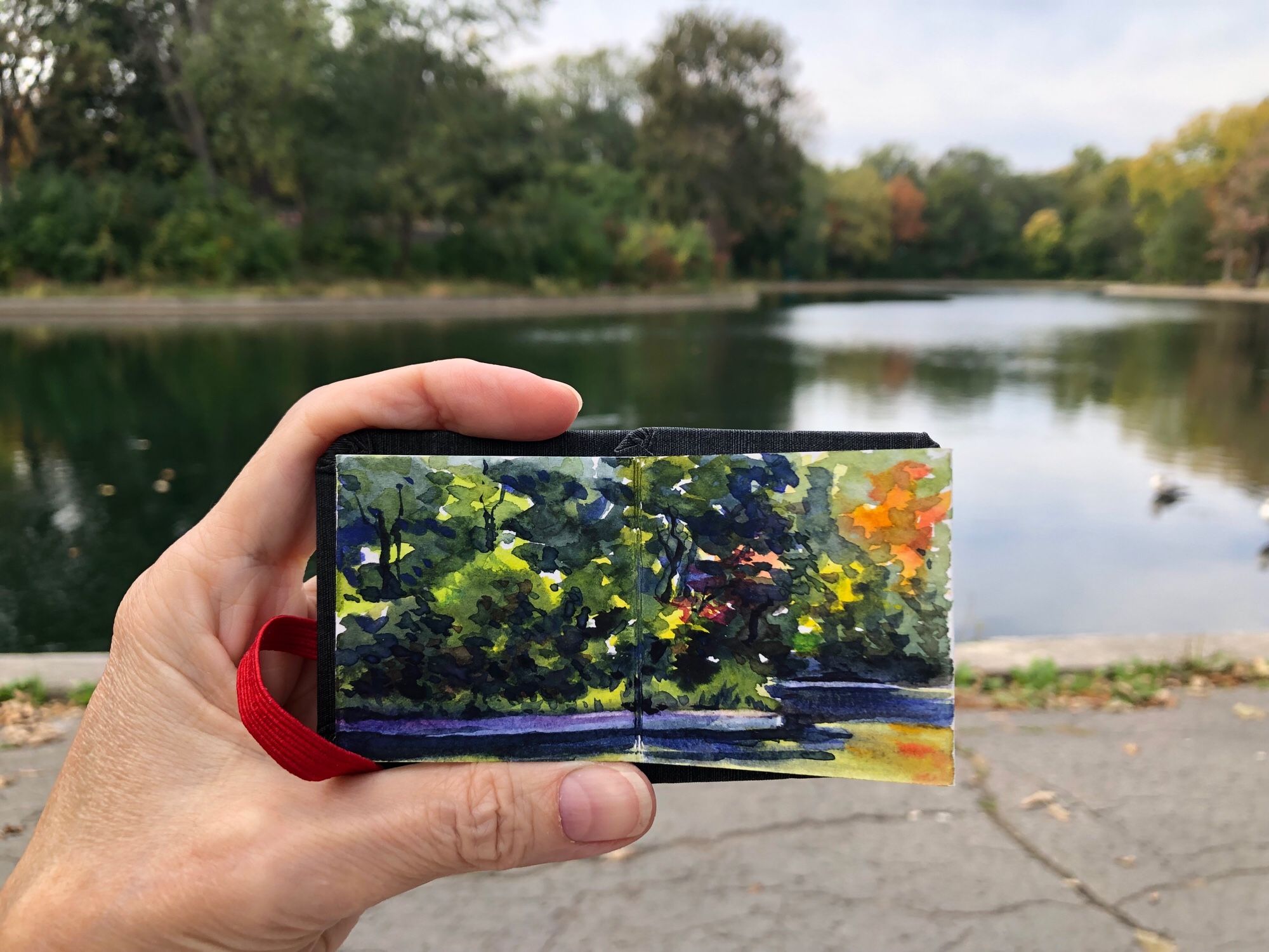 My left hand is holding up my tiny sketchbook with a watercolour painting in it, in front of the view that I am just painted. The view is of the pond at Parc, La Fontaine, in the autumn, and I have painted the far side of it. It shows foliage and trees, and all this reflected in the pond.