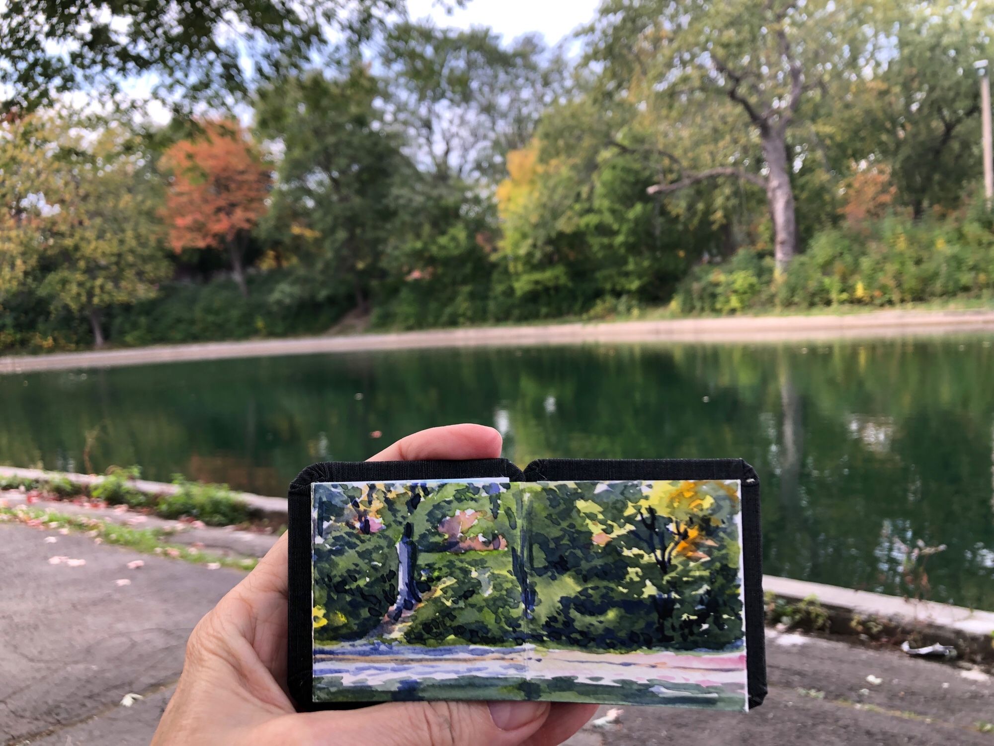 I’m holding up my tiny sketchbook in front of the view that I have just painted and watercolors. The view is of the pond at Parc La Fontaine in Montreal. The trees are turning colours of autumn, and all is reflected in the pond.