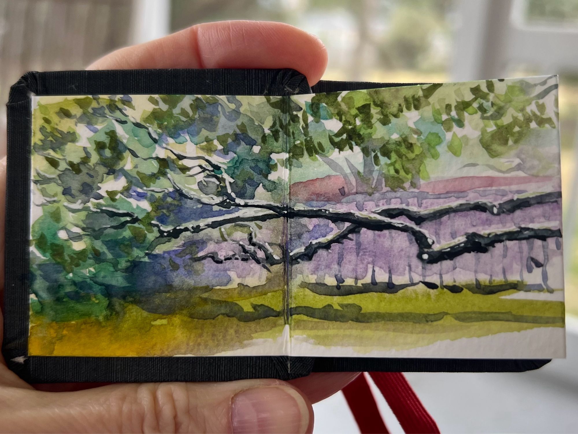 Tiny, watercolor, painting, close-up of some branches of a large tree, growing horizontally with a fence behind.