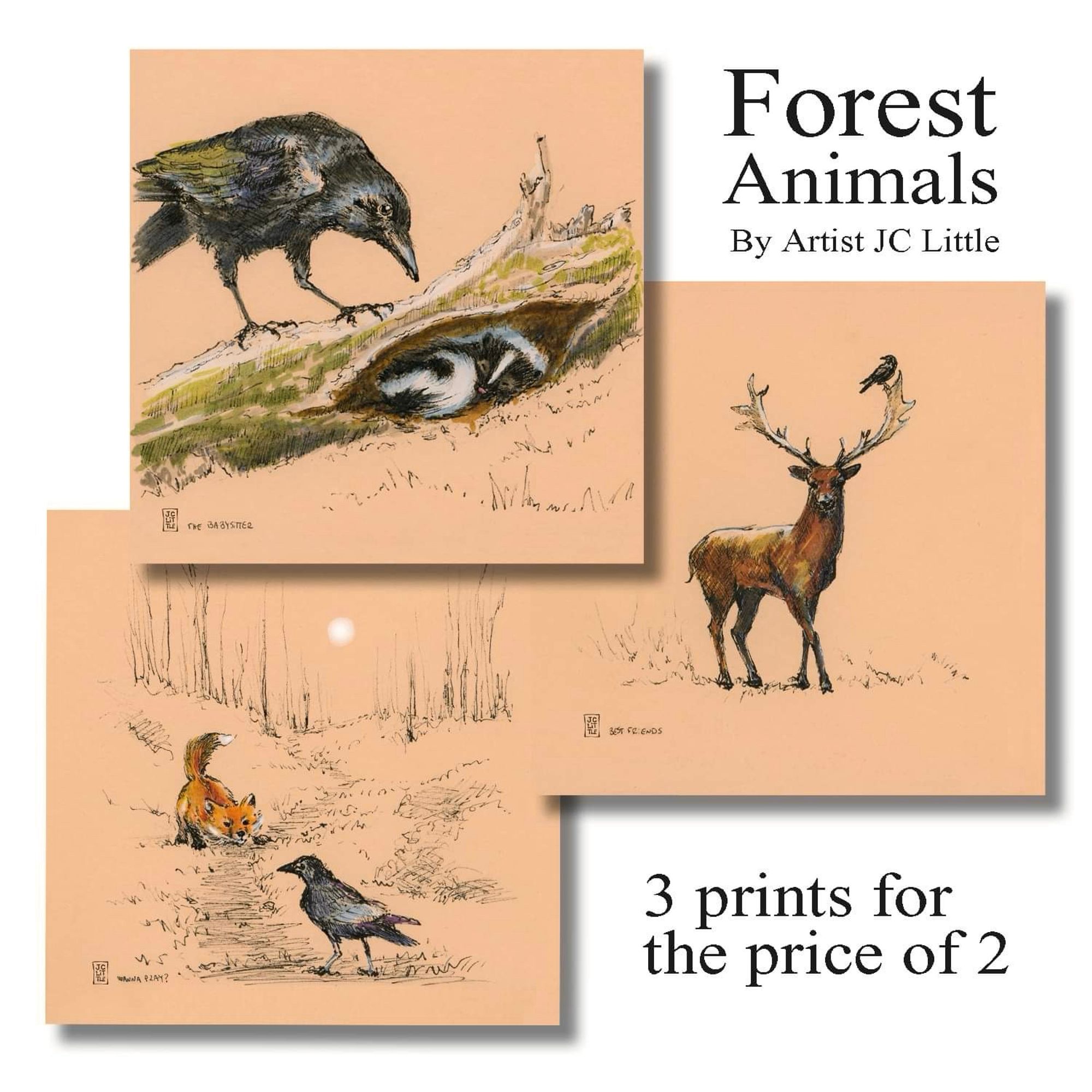 This is a composite image made up of three of my ink drawings, called Forest Friends. The three drawings include one of a stag with a crow perched in its antlers, another one of a fox trying to engage a crow in play, and the third one is of a crow peering at a baby skunk, who is having a nap in the hollow of a fallen tree. All the drawings are done in ink with a little bit of colour on toned paper. The text on the image reads “forest animals by artist, JC Little, three prints for the price of two.”