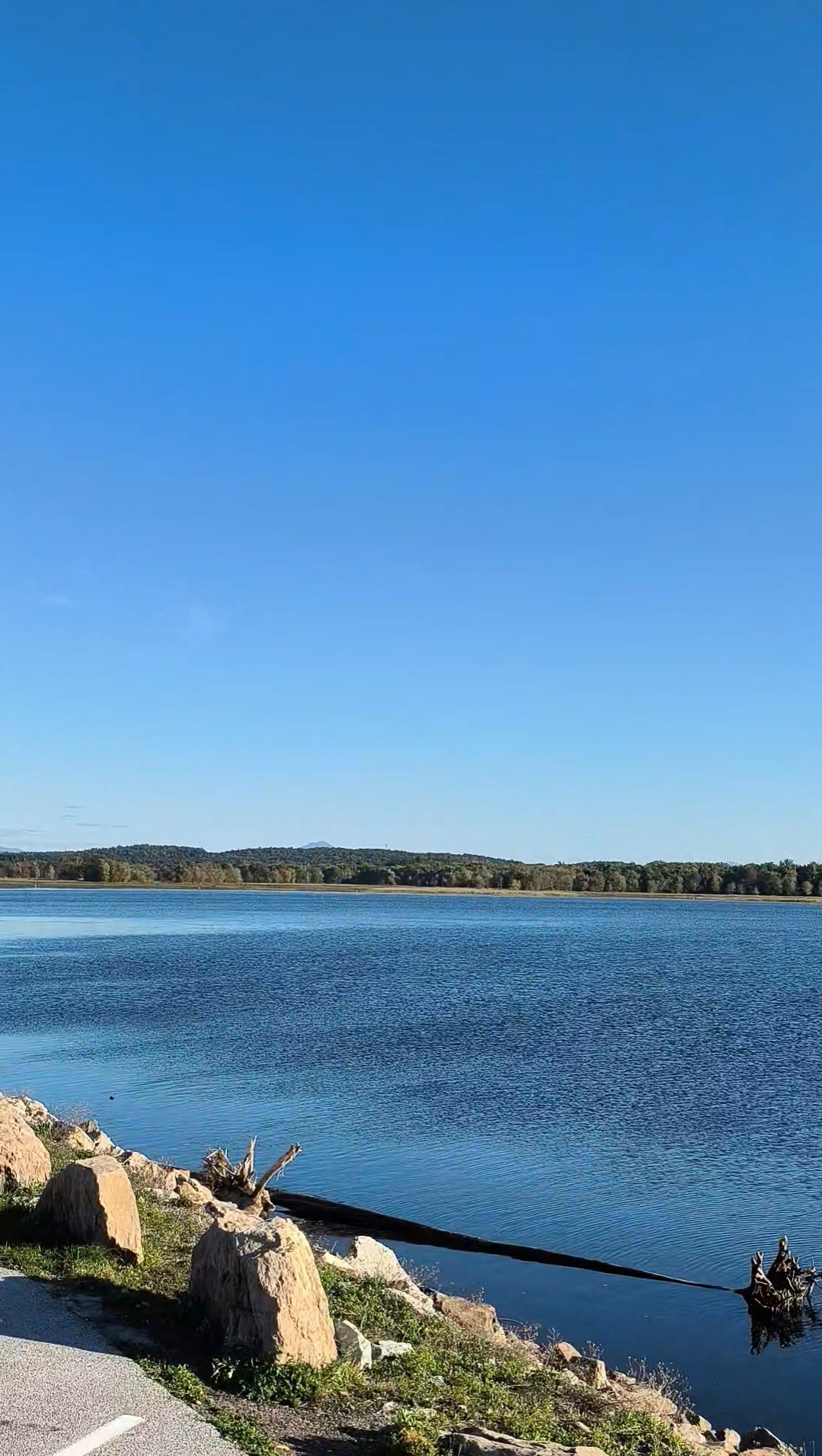 A portrait photo of a lake.. Some craggy rocks and a small escarpment gives way to the dramatic royal majesty of north eastern lakes. Past the distant treeline, a double-peaked mountain sticks out above the rest of horizon