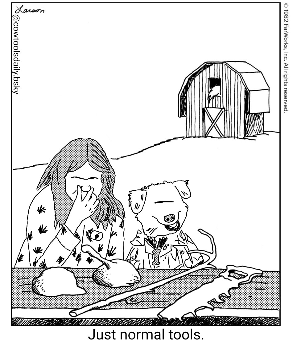 Single panel cartoon in the style of Gary Larson Far side.

Hacker T. Dog, a dog puppet in a flashy shirt, pulls a goofy smile behind a table of 4 crudely made tools as his co-host, Lauren, puts her thumb and forefinger to her nose trying to stifle laughter.

Caption reads "just normal tools."

