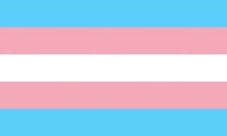 The blue, pink, and white of the Transgender flag.