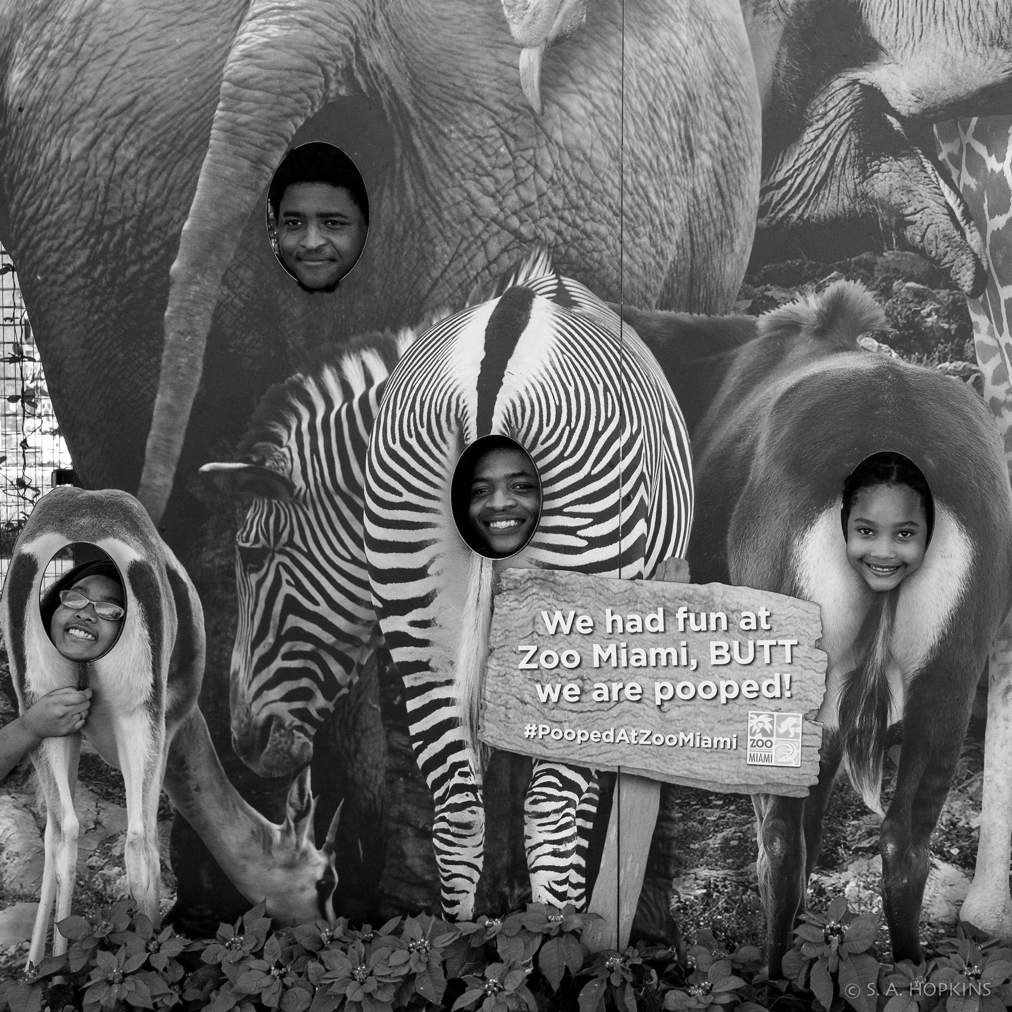 Black and white photo of a family at a zoo posing with some fake animals.