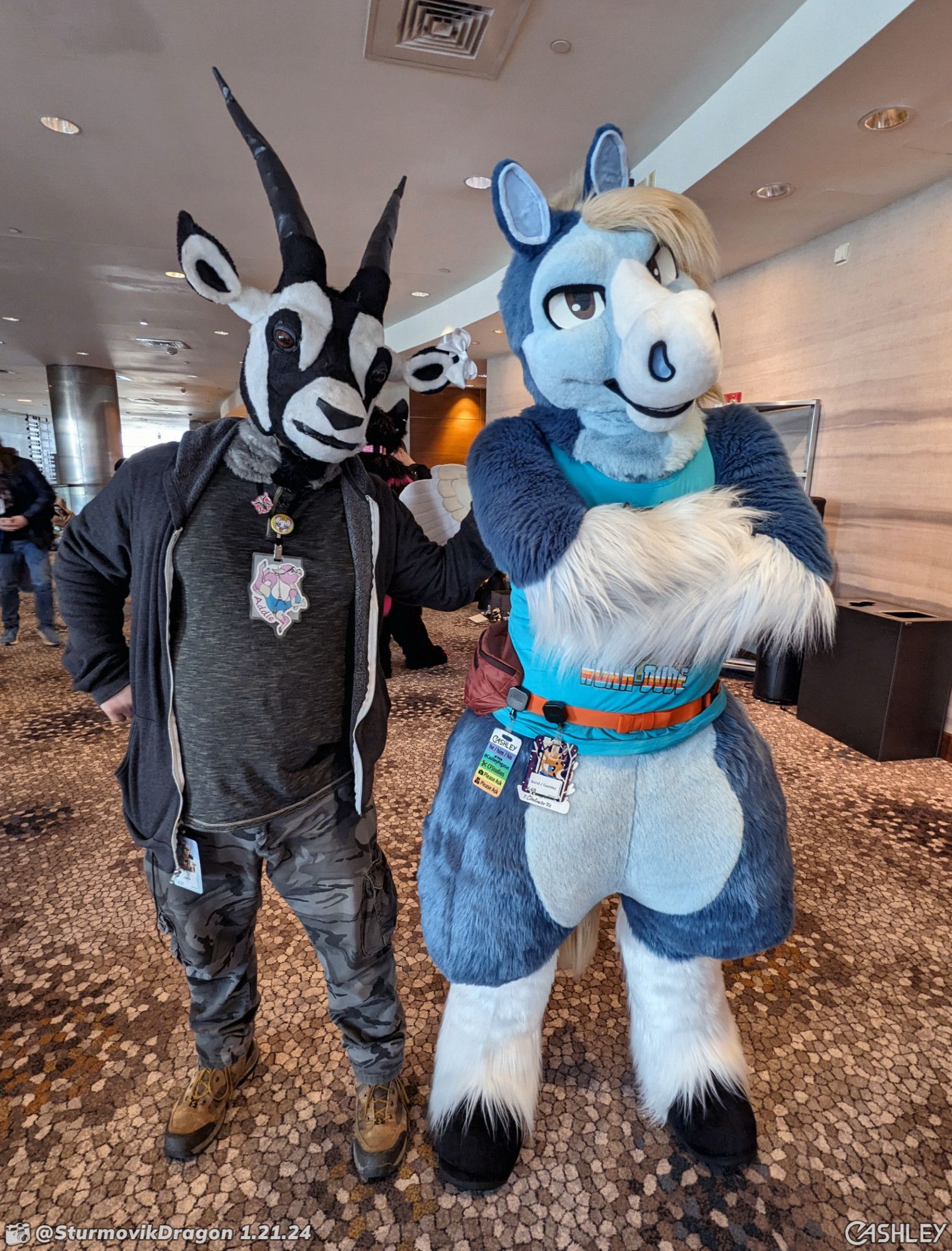 This is a candid photograph of two fursuiters standing in a common area inside of the Anthro New England Westin. On the left is a black and white oryx wearing a black hoodie and gray camo pants, and on the right is a blue pegasus wearing a sky blue tank top and standing with crossed arms.