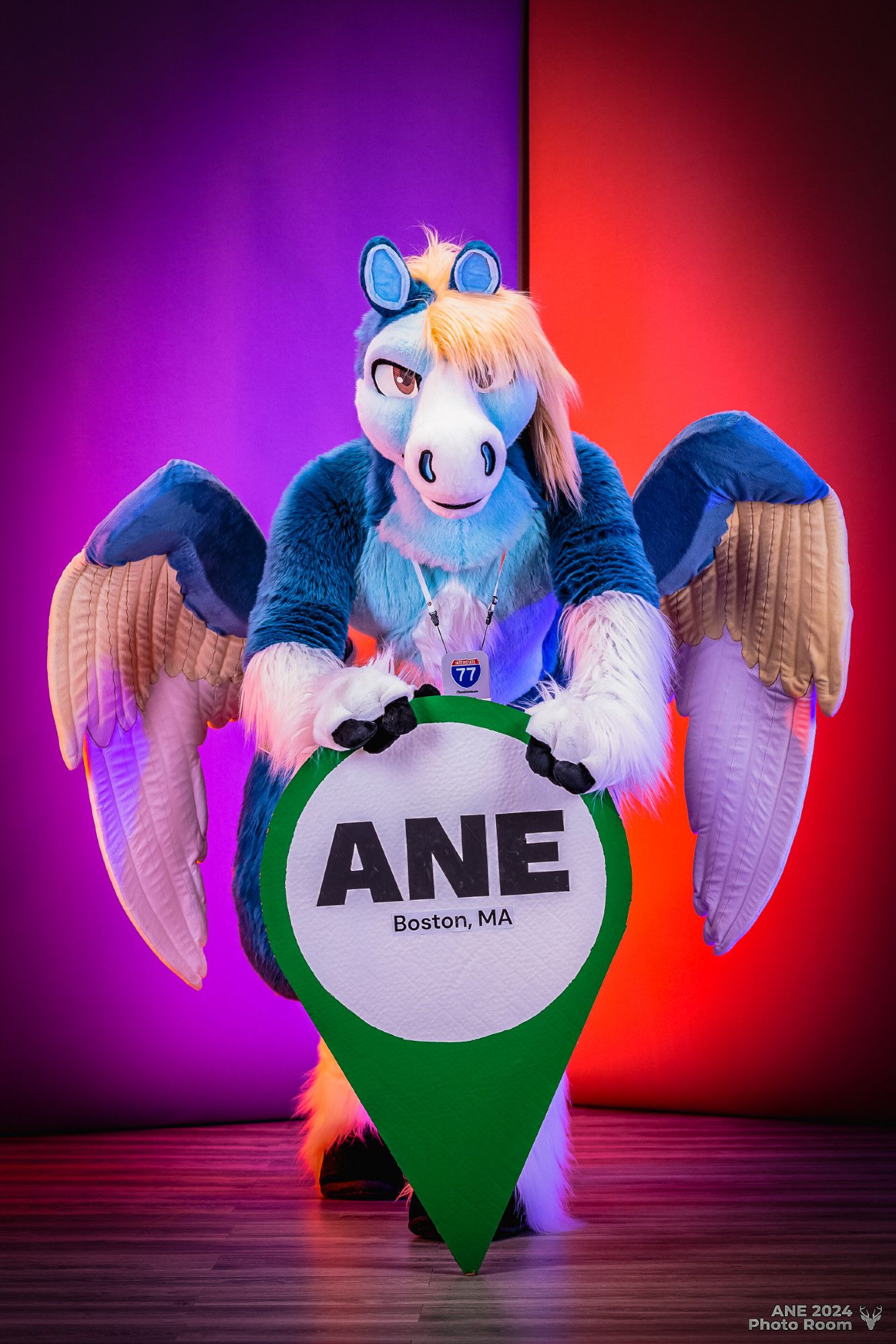 This is a photograph taken in the photo room at Anthro New England 2024, with a purple and orange color-blocked backdrop. In the center of the picture is a blue pegasus fursuiter with big wings; he's slightly hunched over and looking at the camera while holding up an oversized green and white map pushpin which says "ANE Boston, MA" in the center.