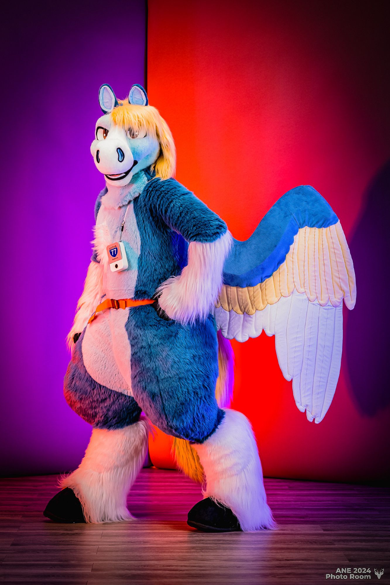 This is a photograph taken in the photo room at Anthro New England 2024, with a purple and orange color-blocked backdrop. In the center of the picture is a blue pegasus fursuiter with big wings; he's turned with his body facing left showing off full wing extension, with his head looking at the camera, his right arm relaxed, and his left arm on his hip.