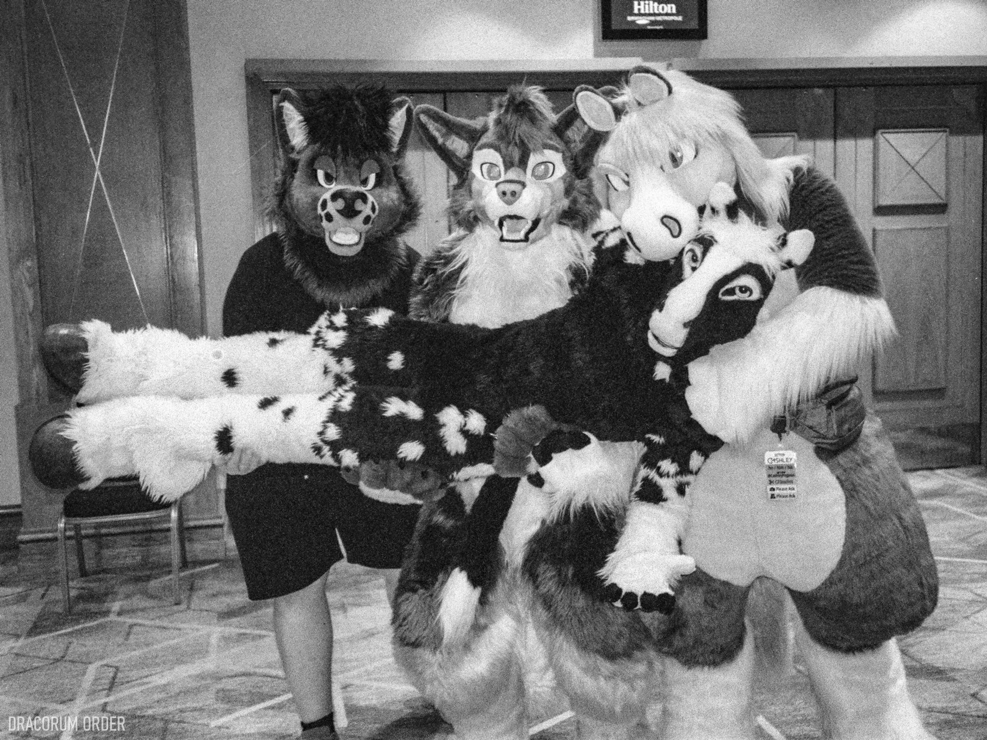 A black-and-white film photograph of four fursuiters at ConFuzzled 2024. Standing from left to right are a wolf, folf, and pegasus, who are holding up a hornless unicorn across the three of them like they're about to carry him away.