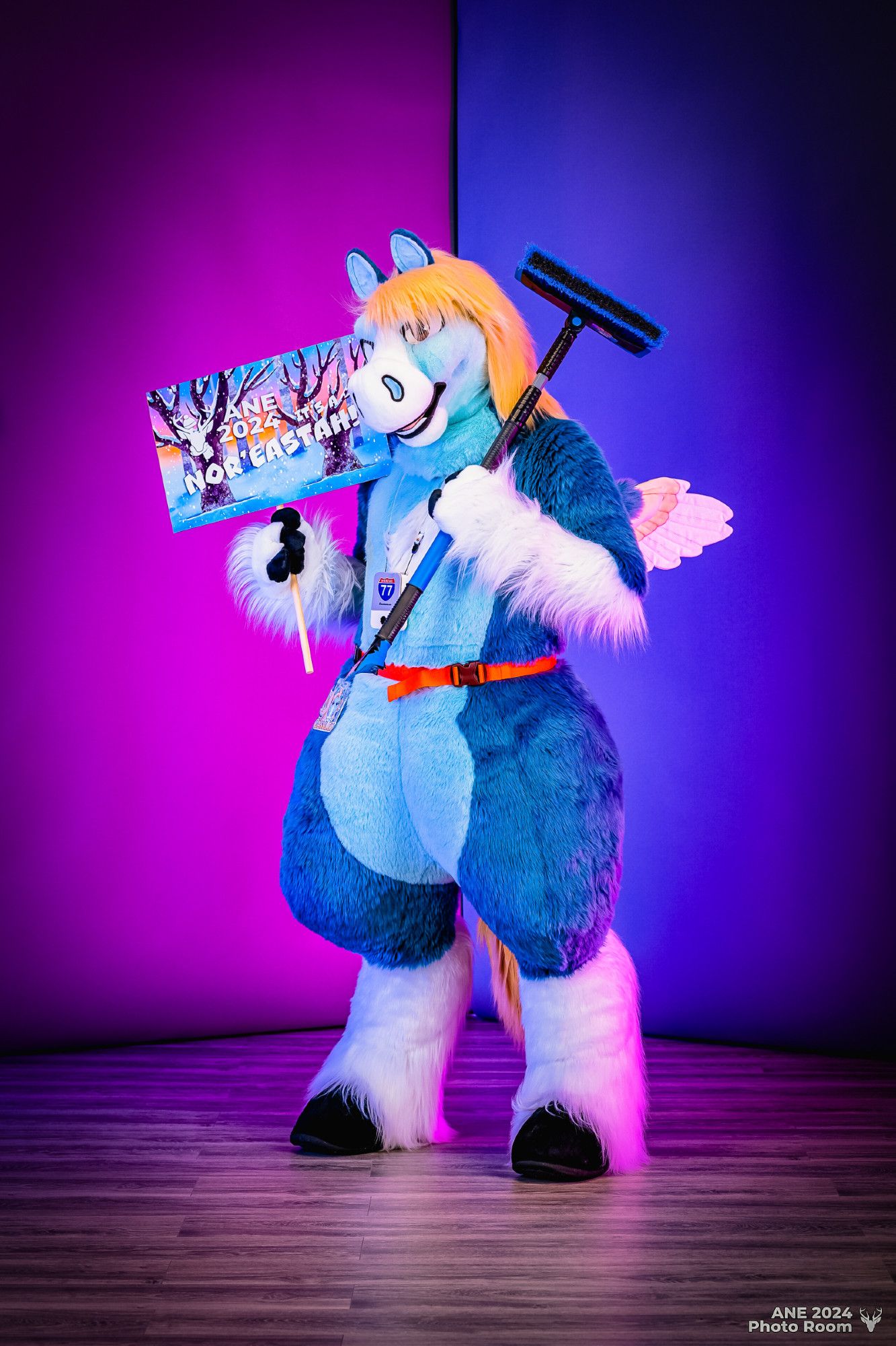 This is a photograph taken in the photo room at Anthro New England 2024, with a purple and blue color-blocked backdrop. In the center of the picture is a blue pegasus fursuiter looking at the camera while holding an ANE 2024 placard sign in his right hand and a snow brush in his left hand.