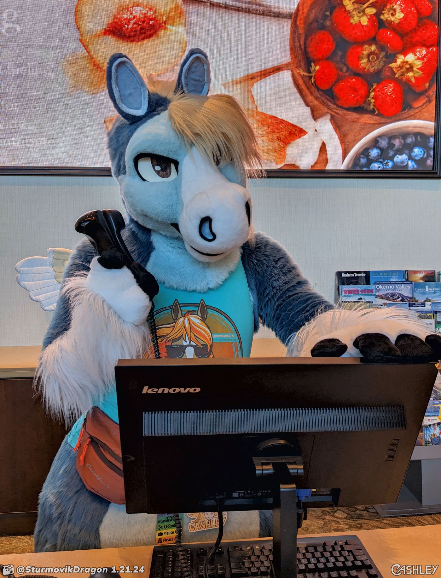 This is a candid photograph from Anthro New England 2024, of a blue pegasus fursuiter standing behind a concierge desk in the Westin lobby. He's holding a phone handset in his right hand while resting his left hand on the edge of an LCD computer monitor.