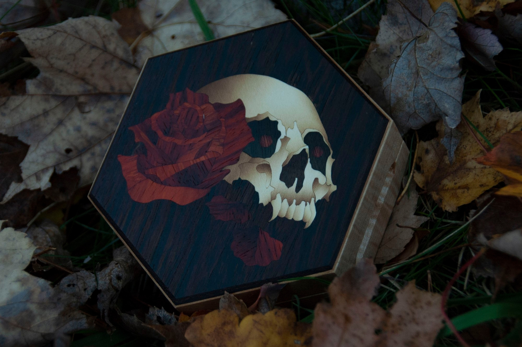 Hexagonal dicebox with marquetry vampire skull and red rose with a few scattered petals.