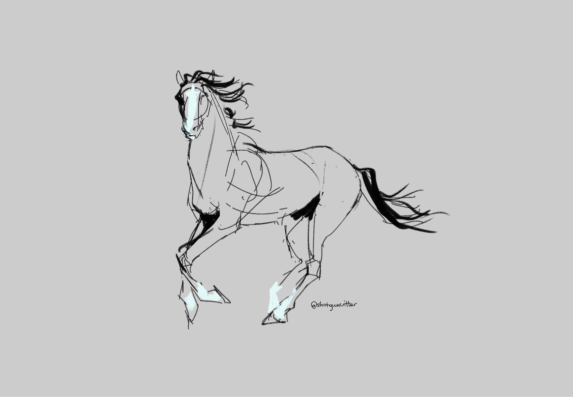 loose sketch of a horse running, uncoloured save for white markings on feet and face, black mane and tail on grey neutral background