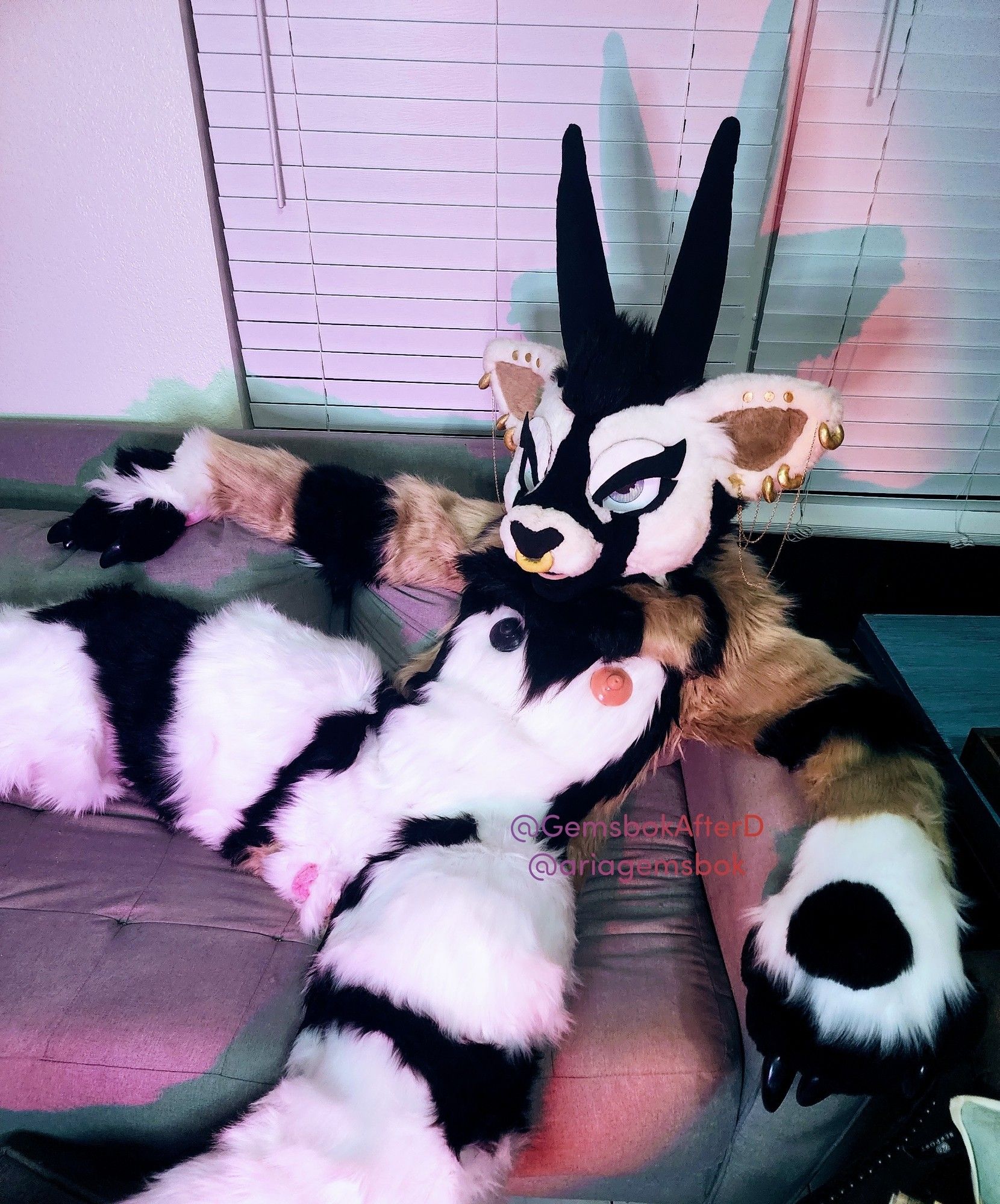 Gemsbok fursuiter with nipples and plush pussy lounging on a couch